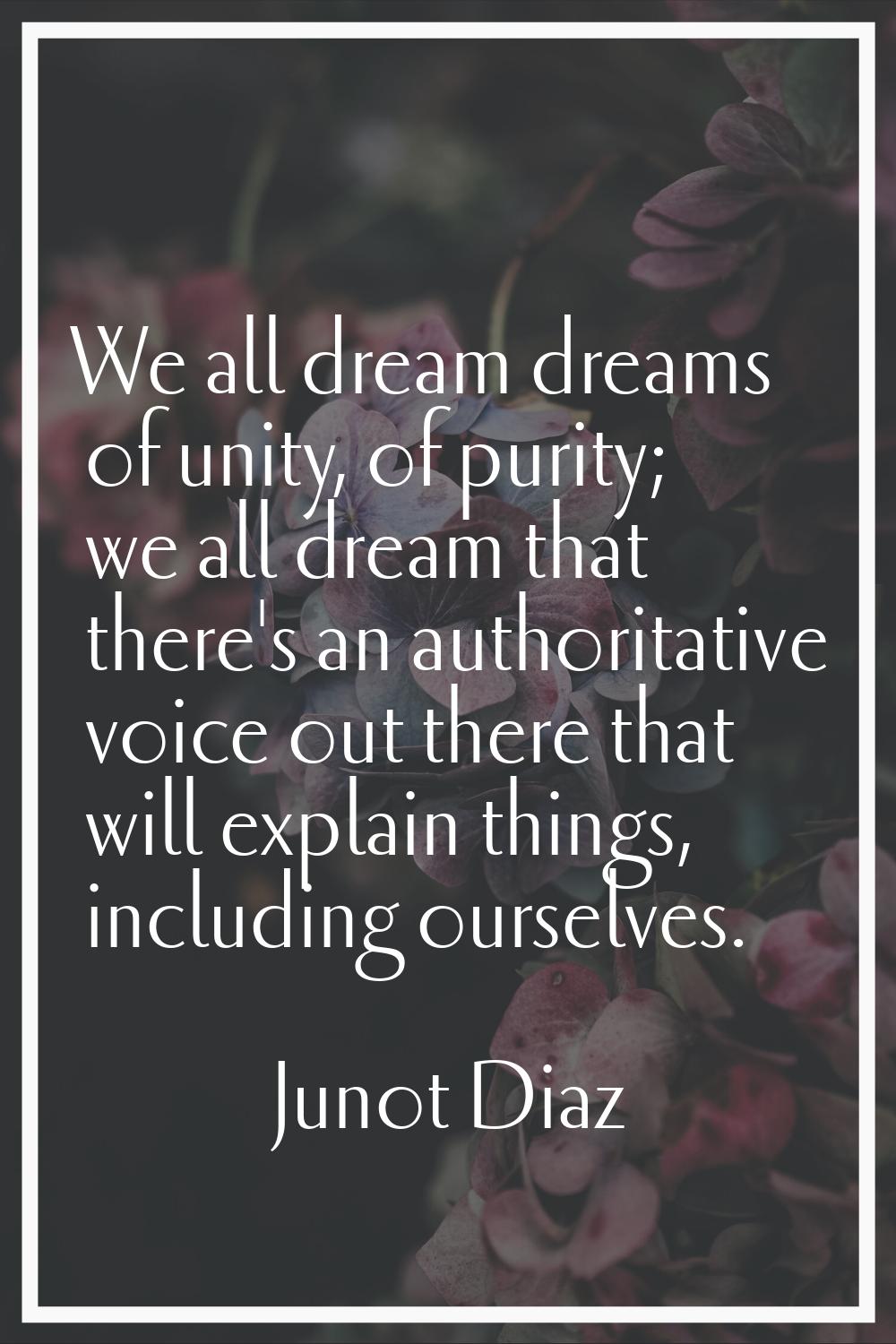 We all dream dreams of unity, of purity; we all dream that there's an authoritative voice out there