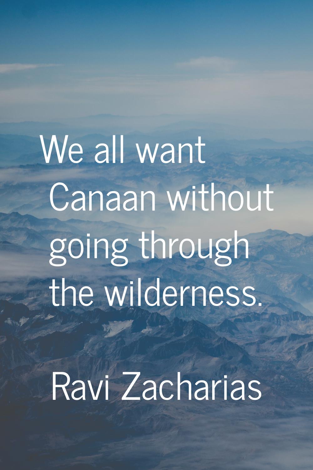 We all want Canaan without going through the wilderness.