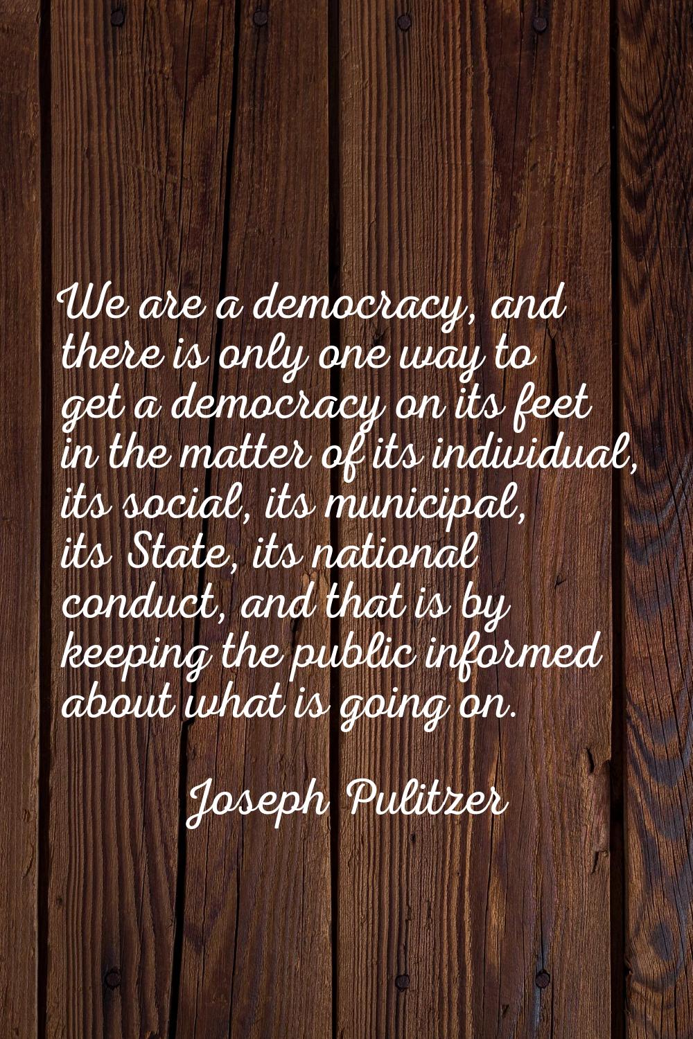 We are a democracy, and there is only one way to get a democracy on its feet in the matter of its i