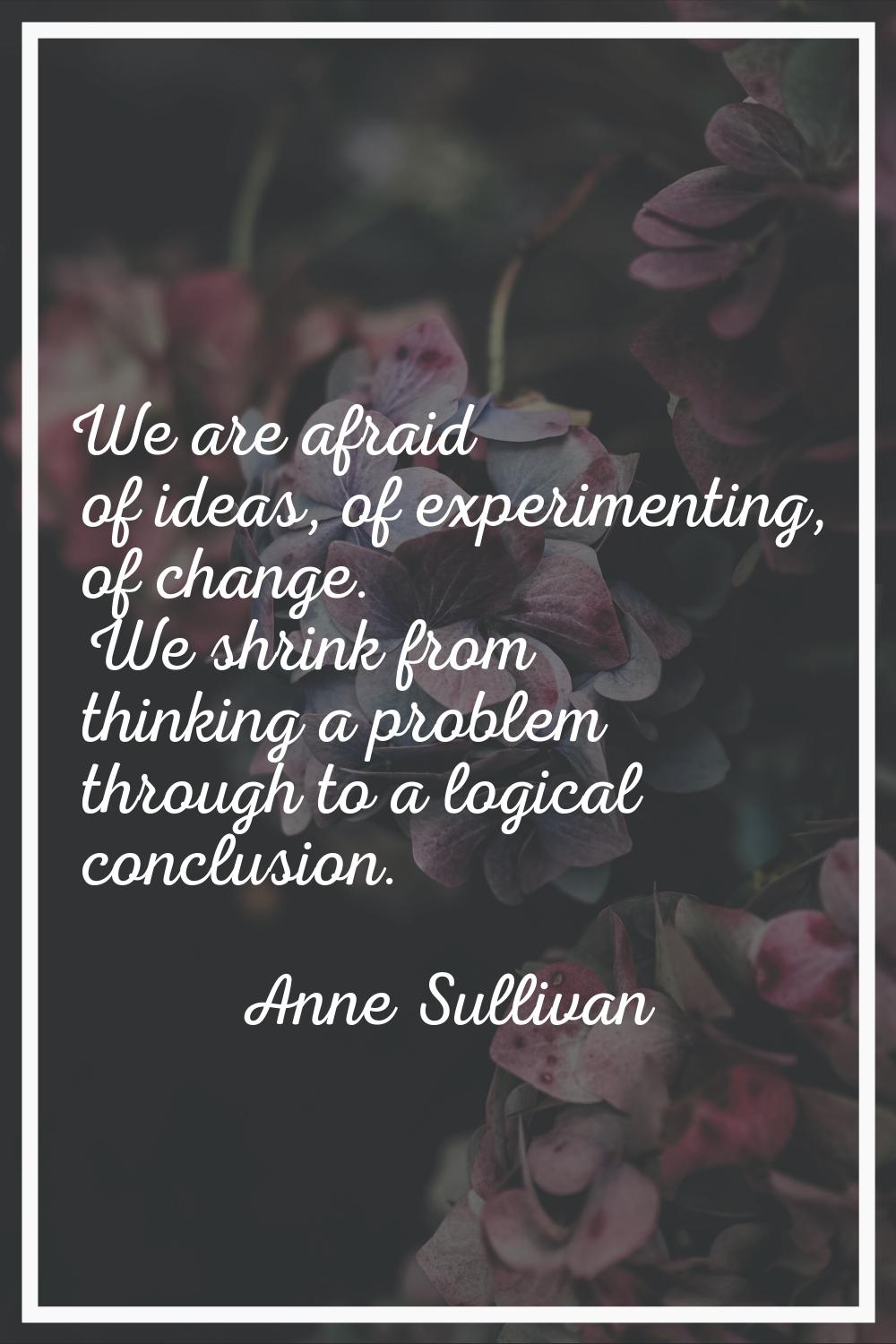We are afraid of ideas, of experimenting, of change. We shrink from thinking a problem through to a