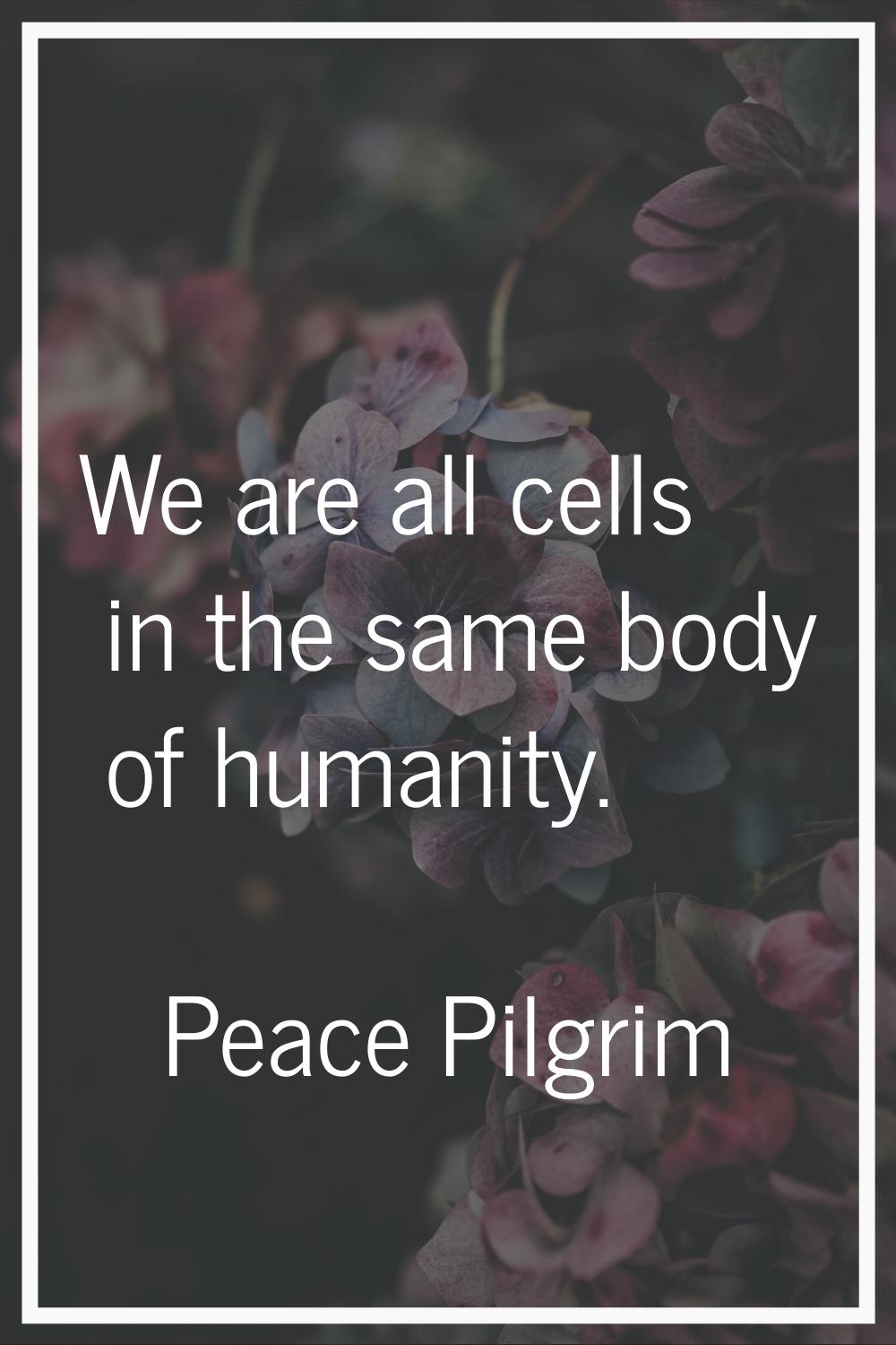 We are all cells in the same body of humanity.