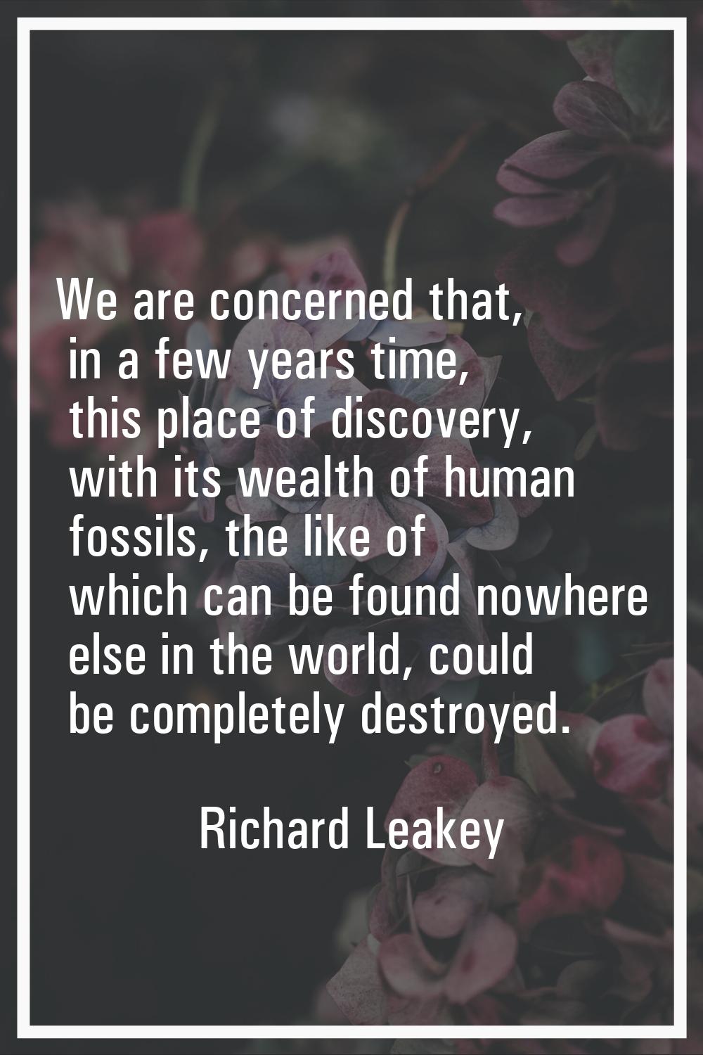 We are concerned that, in a few years time, this place of discovery, with its wealth of human fossi