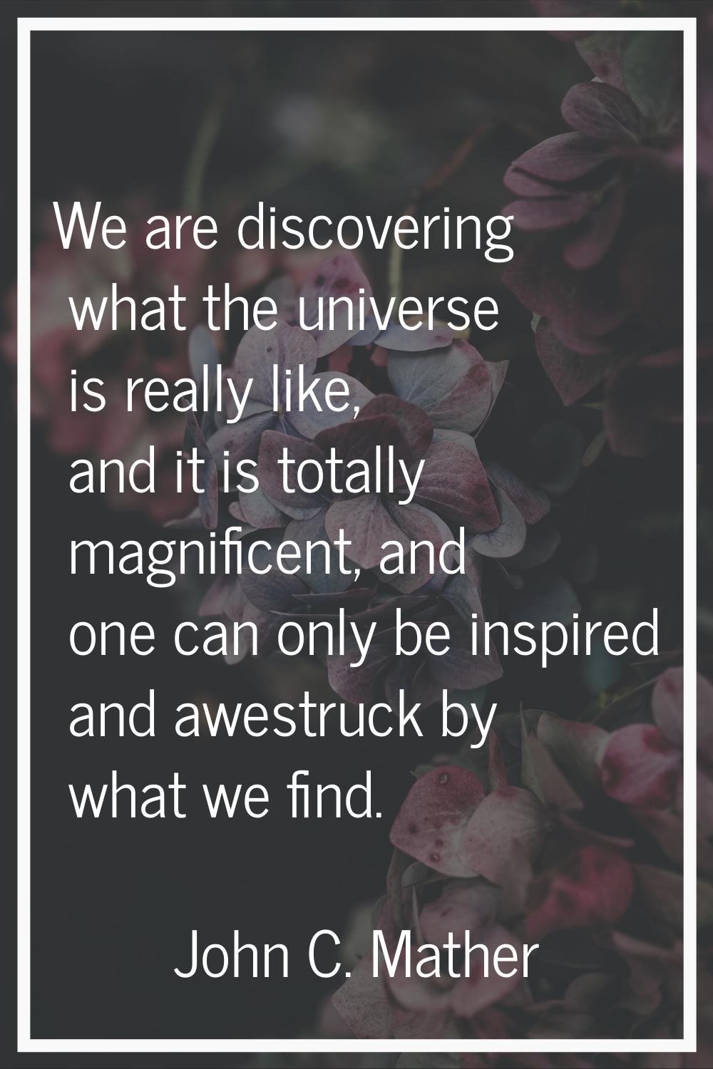 We are discovering what the universe is really like, and it is totally magnificent, and one can onl