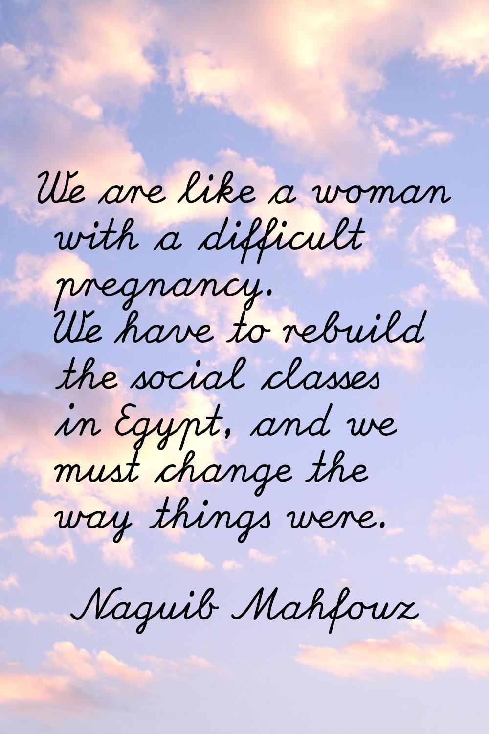 We are like a woman with a difficult pregnancy. We have to rebuild the social classes in Egypt, and