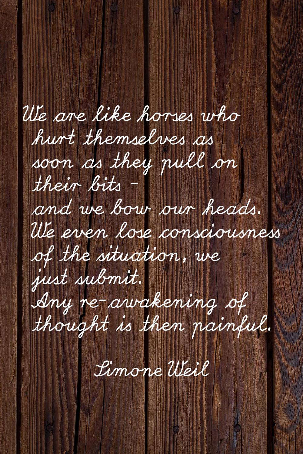 We are like horses who hurt themselves as soon as they pull on their bits - and we bow our heads. W