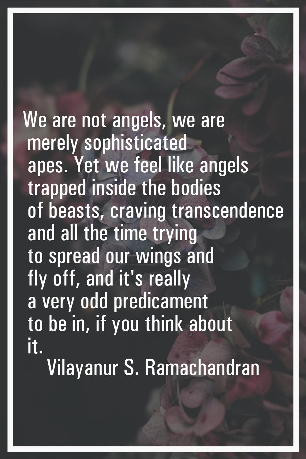 We are not angels, we are merely sophisticated apes. Yet we feel like angels trapped inside the bod