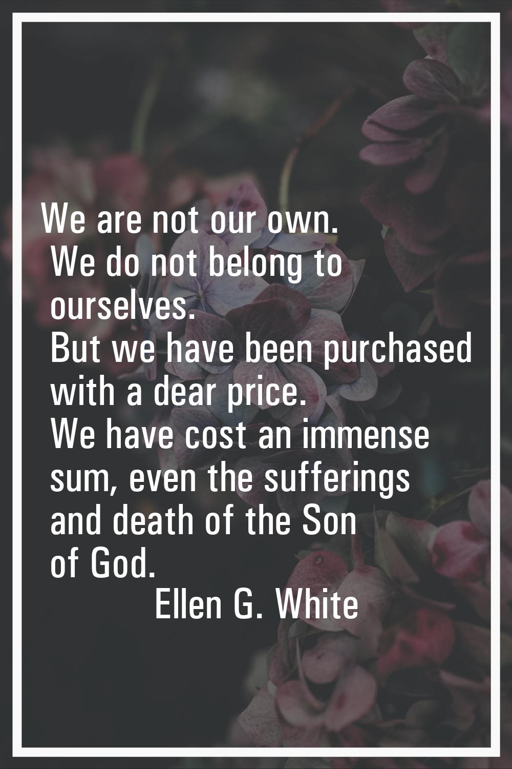 We are not our own. We do not belong to ourselves. But we have been purchased with a dear price. We