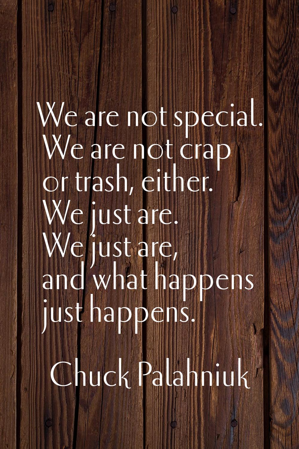 We are not special. We are not crap or trash, either. We just are. We just are, and what happens ju