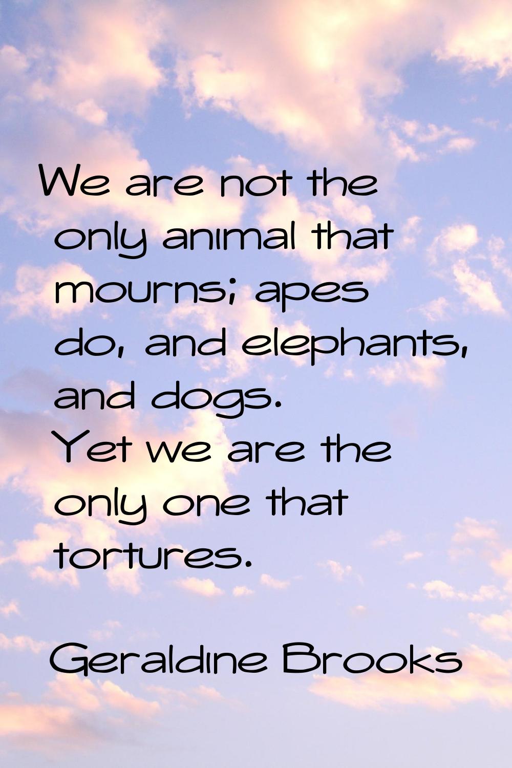 We are not the only animal that mourns; apes do, and elephants, and dogs. Yet we are the only one t