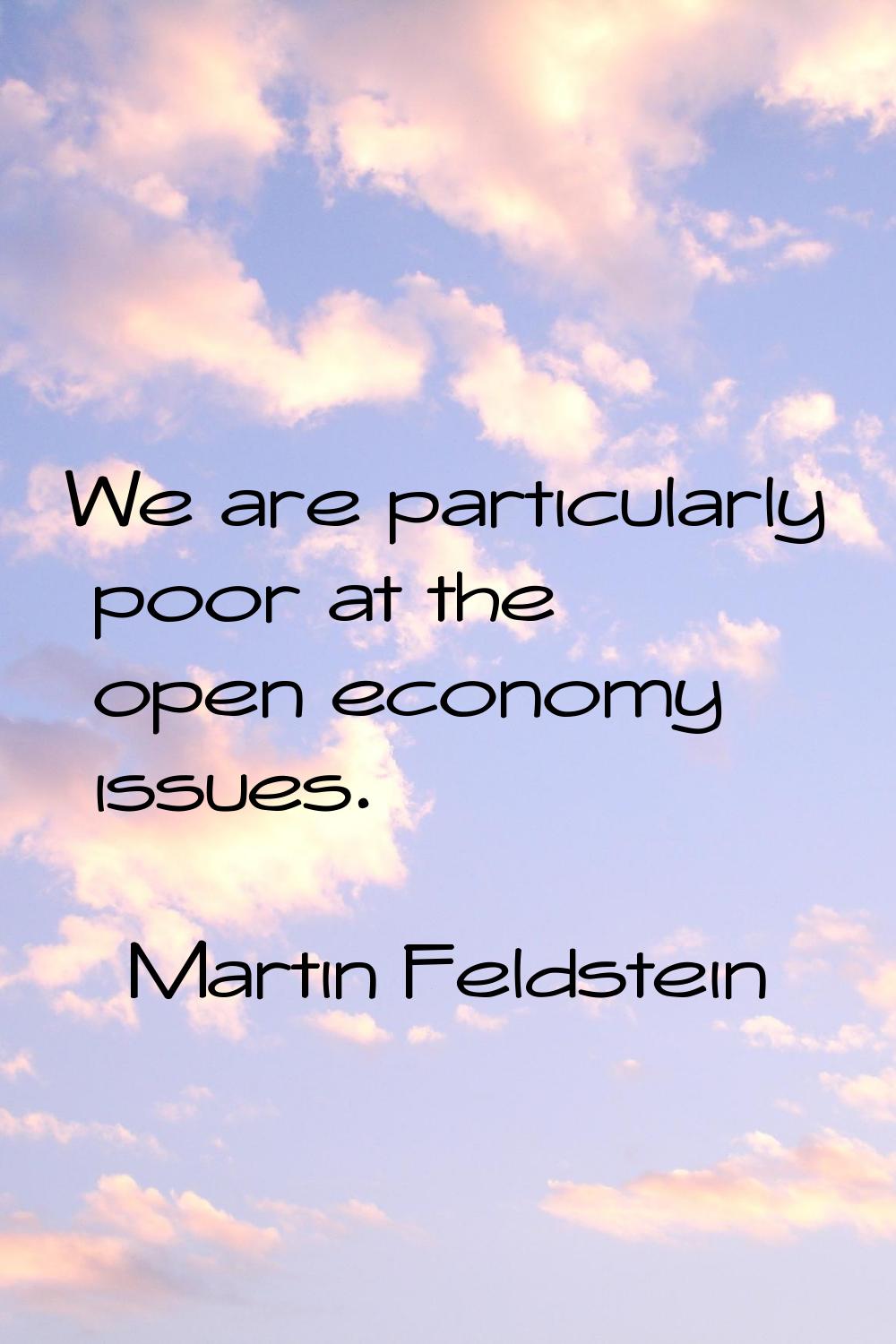 We are particularly poor at the open economy issues.