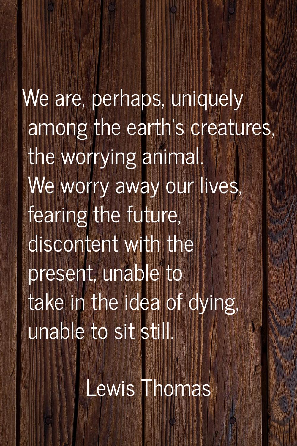 We are, perhaps, uniquely among the earth's creatures, the worrying animal. We worry away our lives