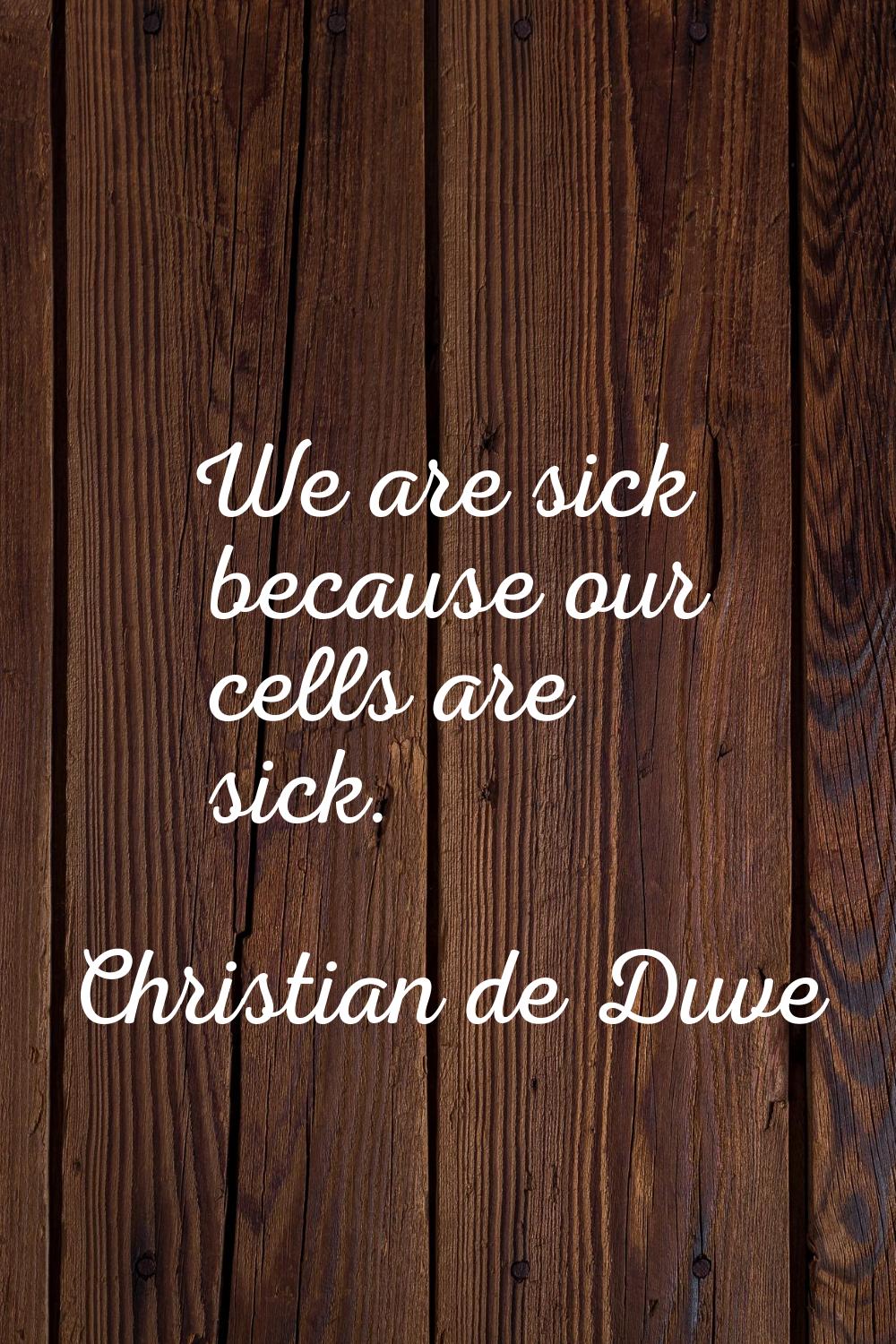 We are sick because our cells are sick.