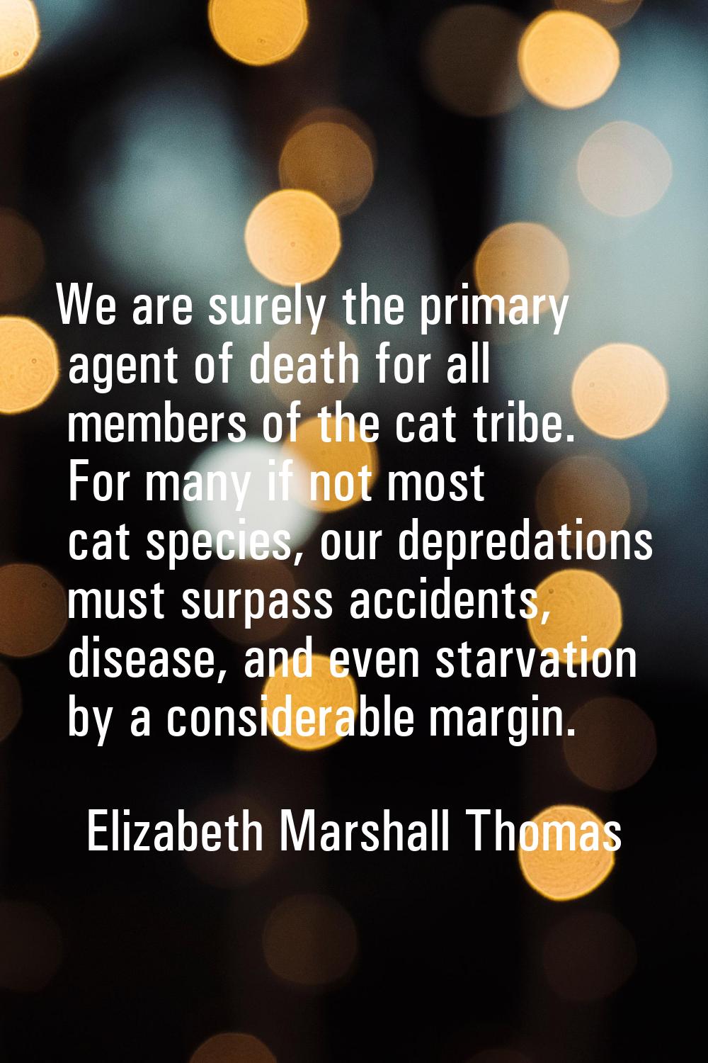 We are surely the primary agent of death for all members of the cat tribe. For many if not most cat