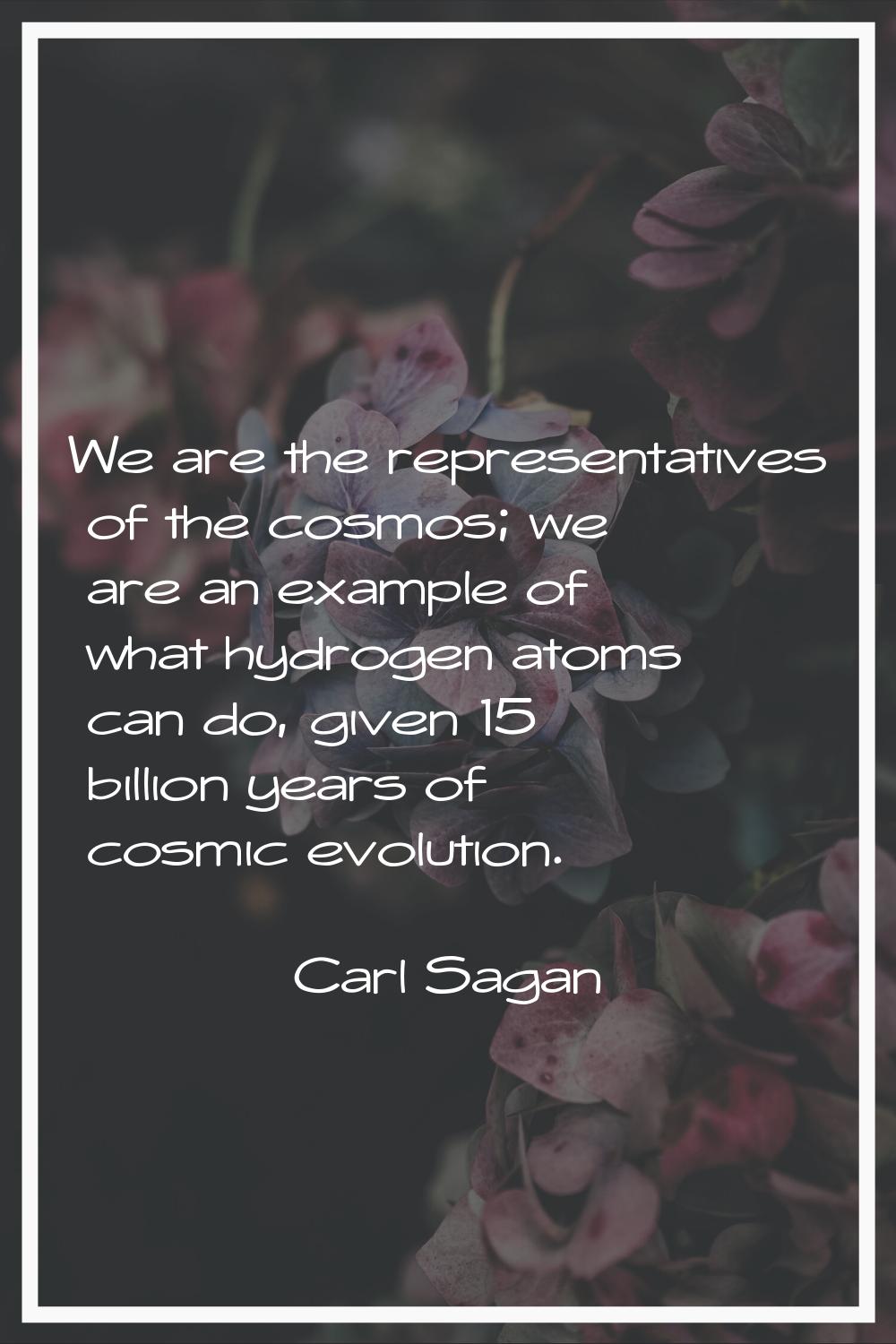 We are the representatives of the cosmos; we are an example of what hydrogen atoms can do, given 15