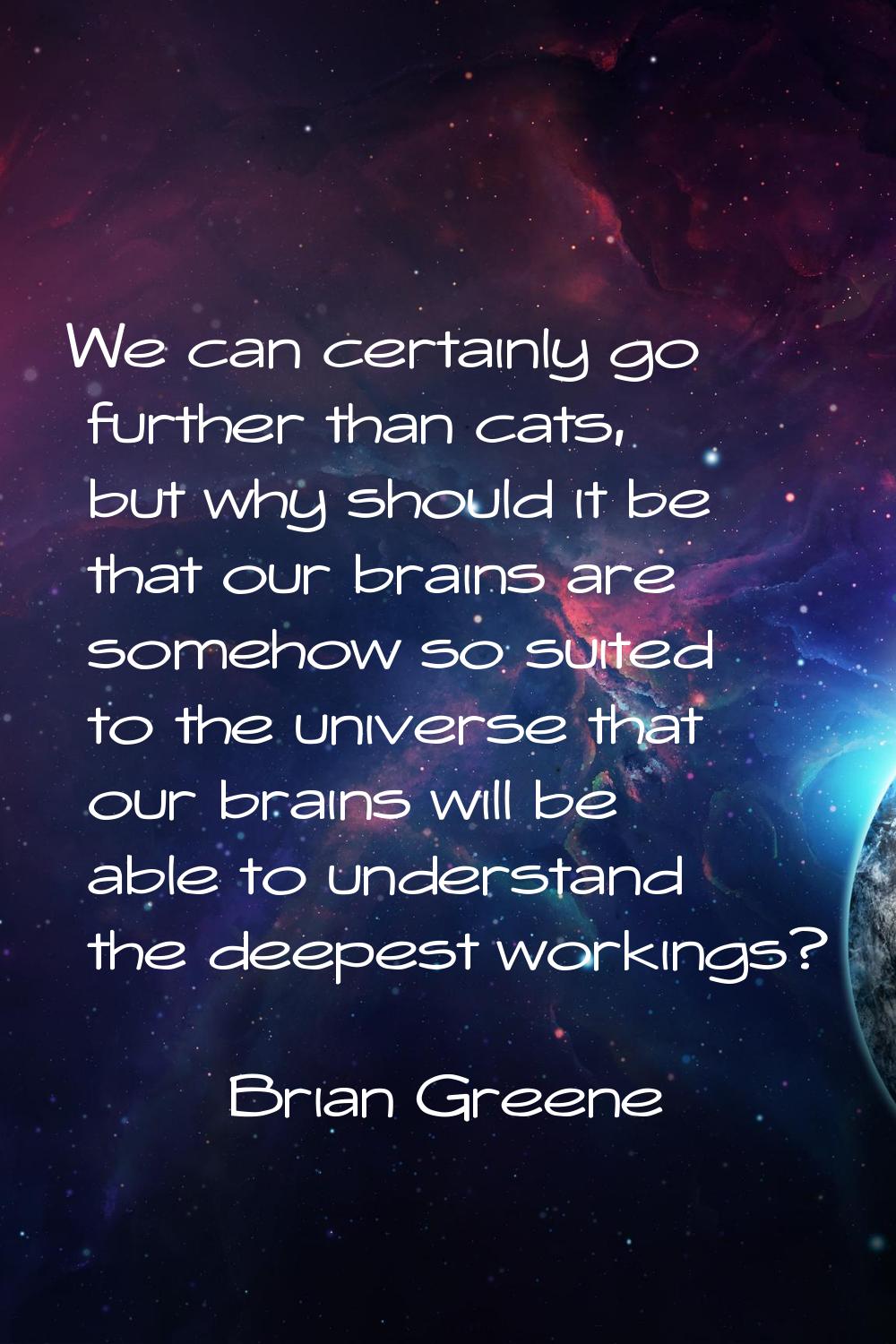 We can certainly go further than cats, but why should it be that our brains are somehow so suited t