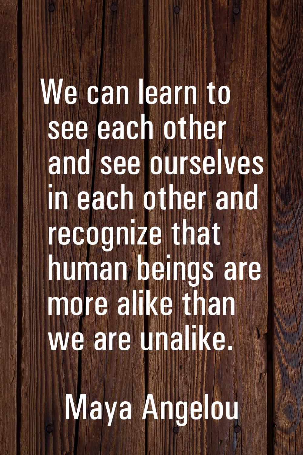 We can learn to see each other and see ourselves in each other and recognize that human beings are 