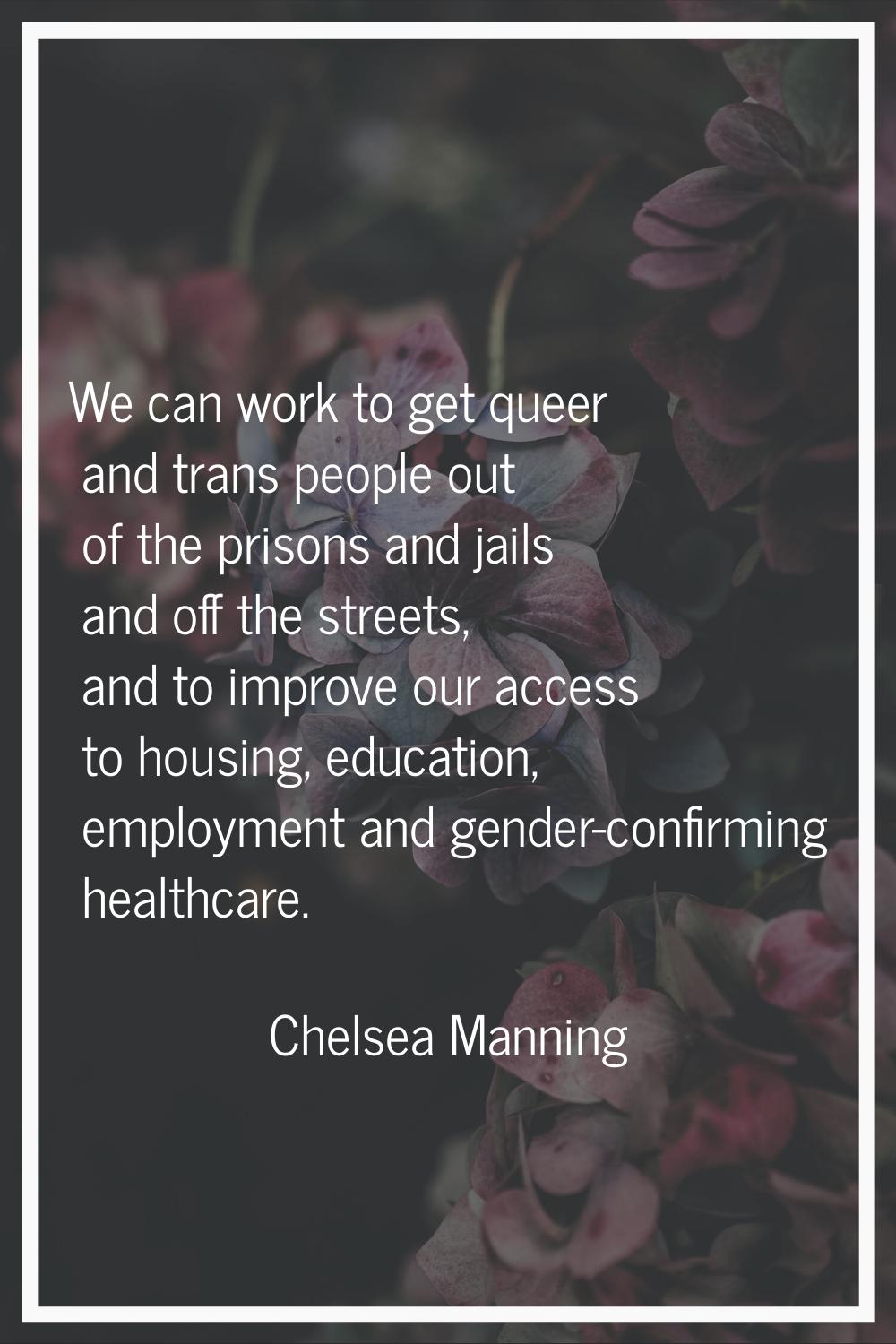 We can work to get queer and trans people out of the prisons and jails and off the streets, and to 