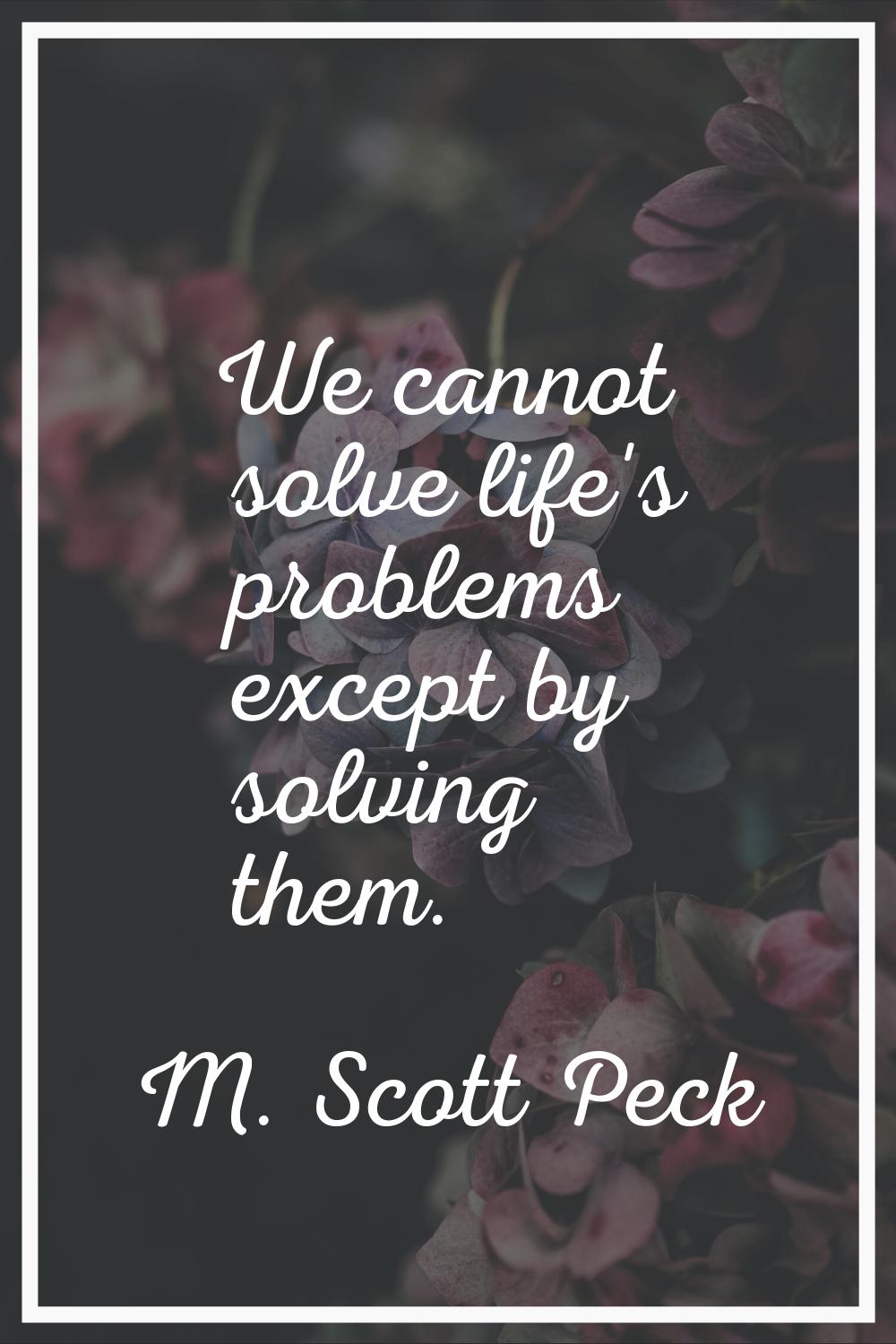 We cannot solve life's problems except by solving them.