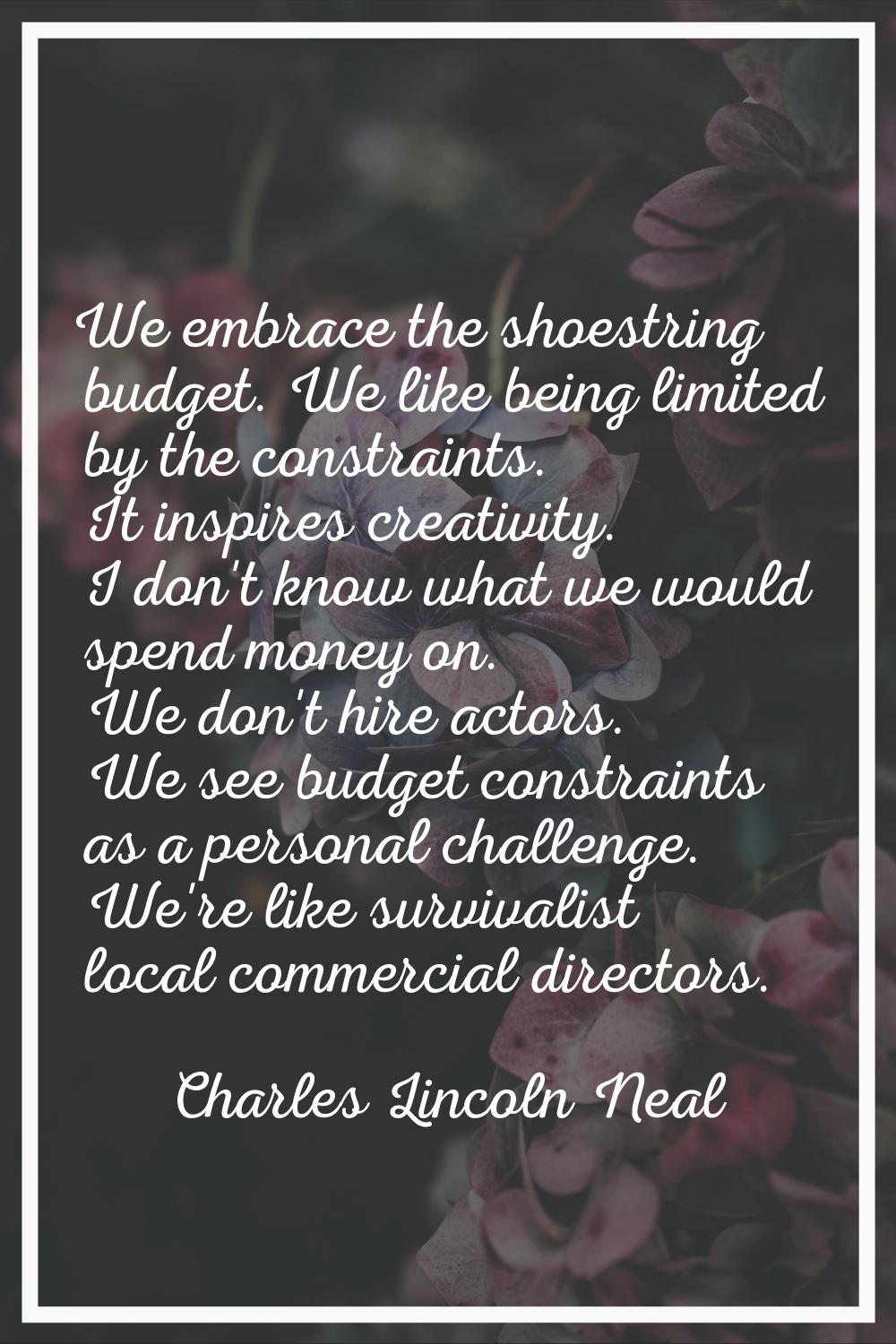 We embrace the shoestring budget. We like being limited by the constraints. It inspires creativity.