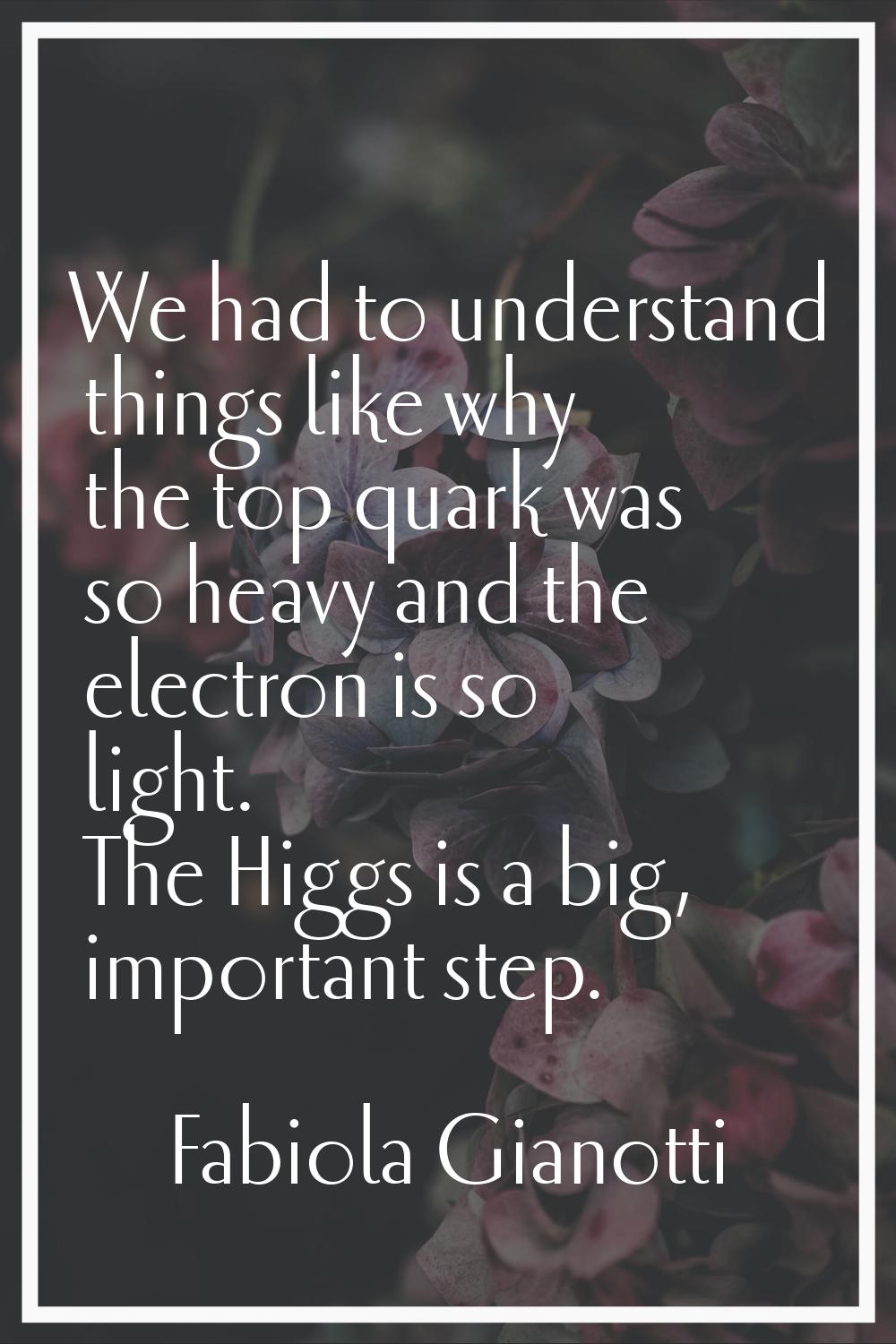 We had to understand things like why the top quark was so heavy and the electron is so light. The H