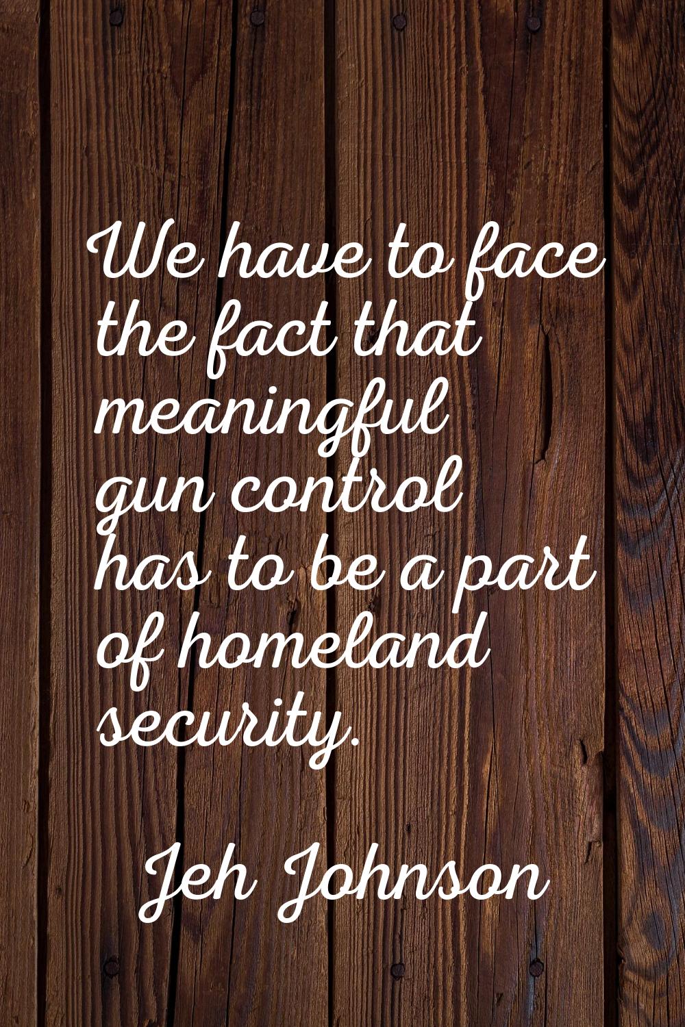 We have to face the fact that meaningful gun control has to be a part of homeland security.