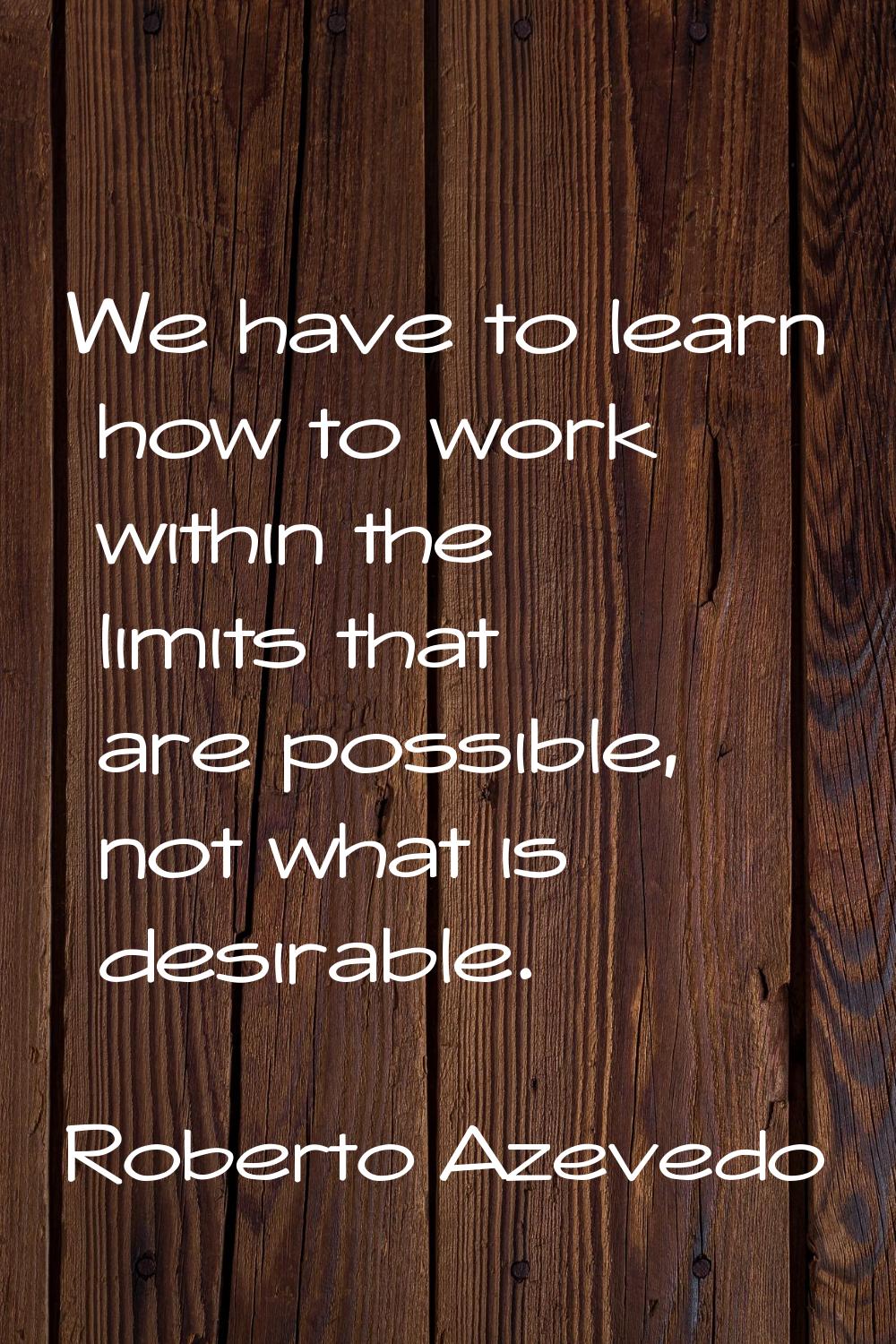 We have to learn how to work within the limits that are possible, not what is desirable.