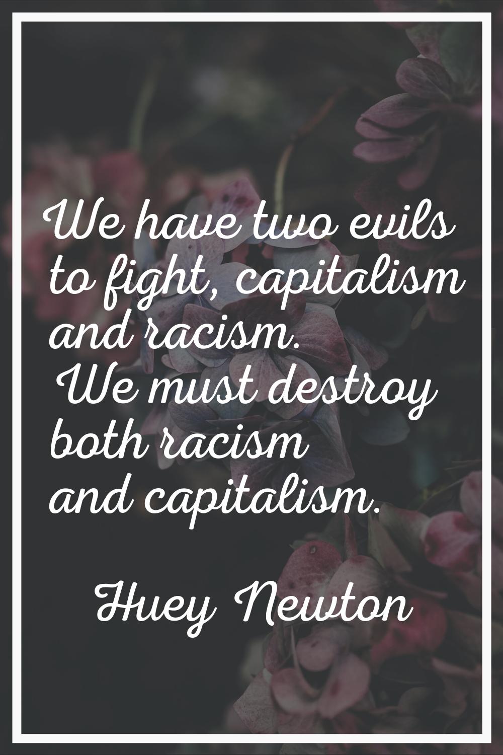 We have two evils to fight, capitalism and racism. We must destroy both racism and capitalism.