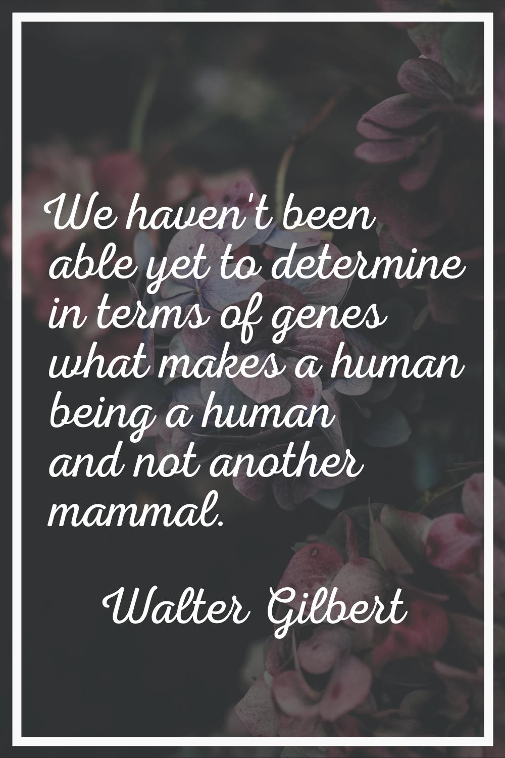 We haven't been able yet to determine in terms of genes what makes a human being a human and not an