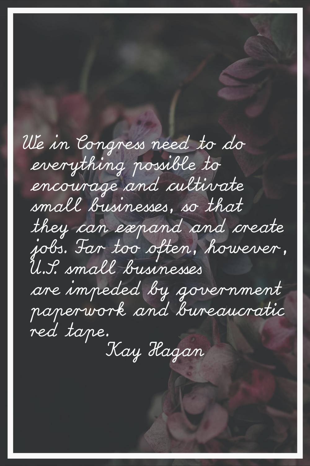 We in Congress need to do everything possible to encourage and cultivate small businesses, so that 