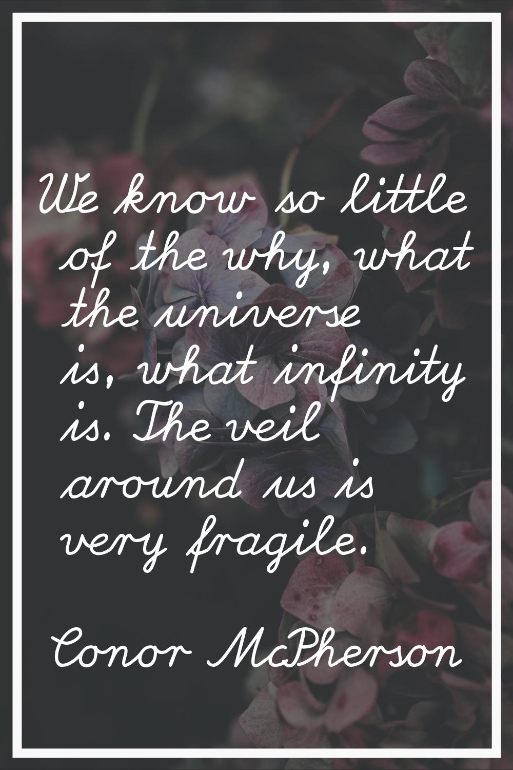 We know so little of the why, what the universe is, what infinity is. The veil around us is very fr