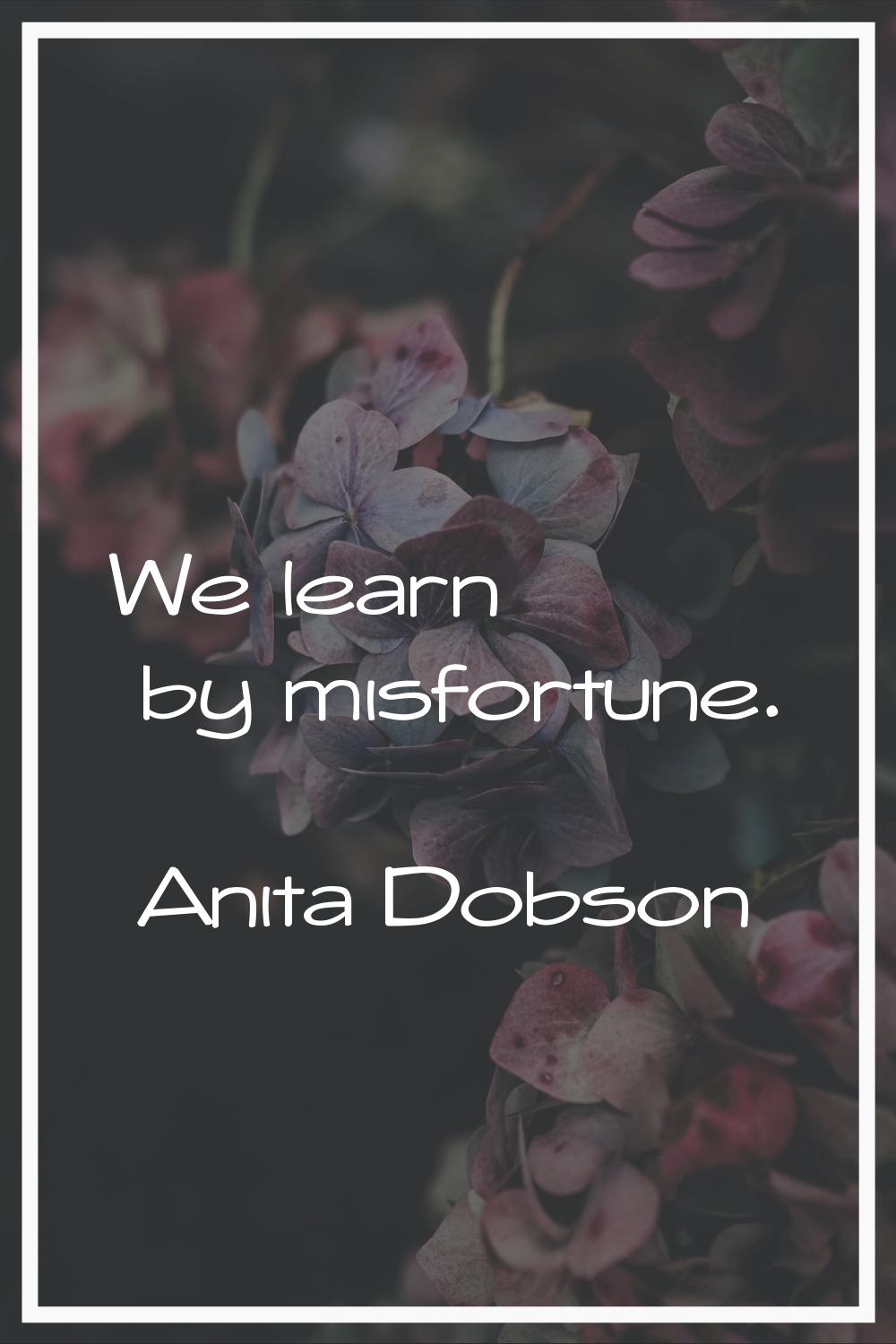 We learn by misfortune.