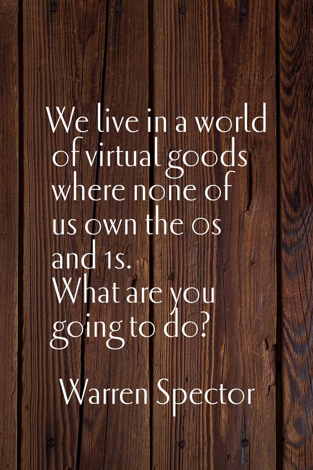 We live in a world of virtual goods where none of us own the 0s and 1s. What are you going to do?
