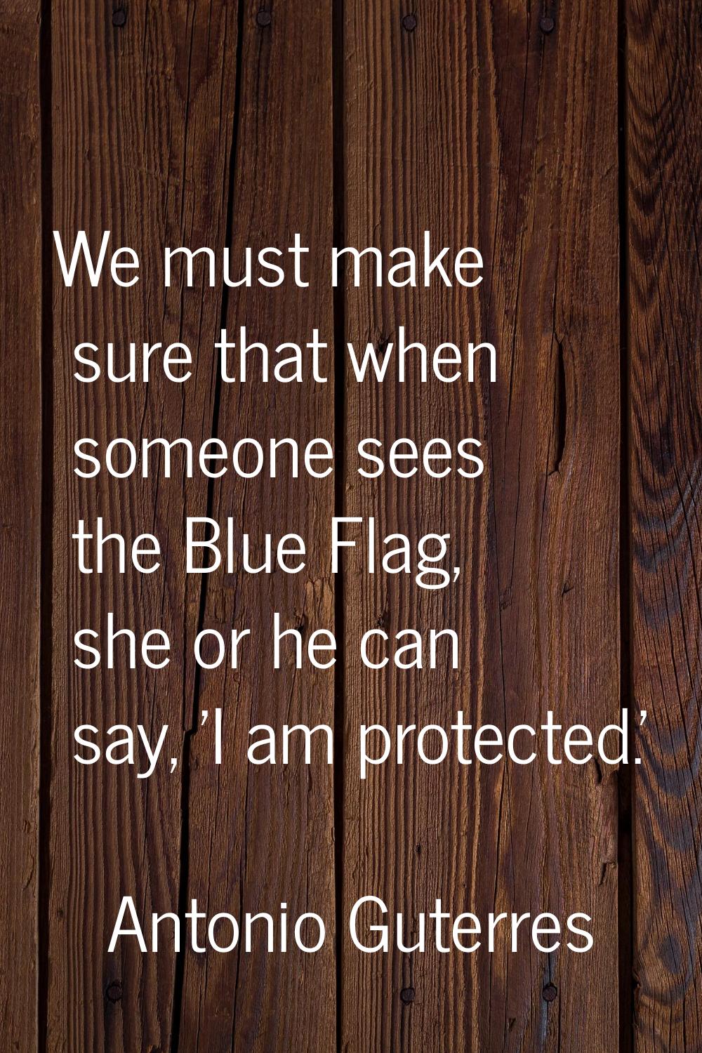 We must make sure that when someone sees the Blue Flag, she or he can say, 'I am protected.'
