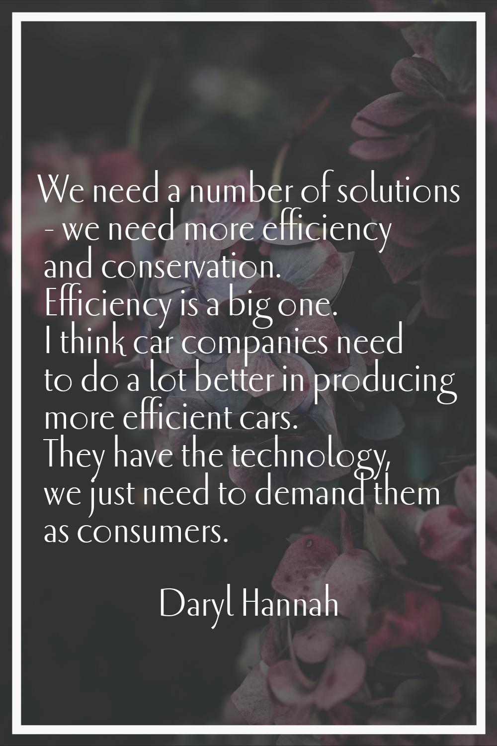 We need a number of solutions - we need more efficiency and conservation. Efficiency is a big one. 