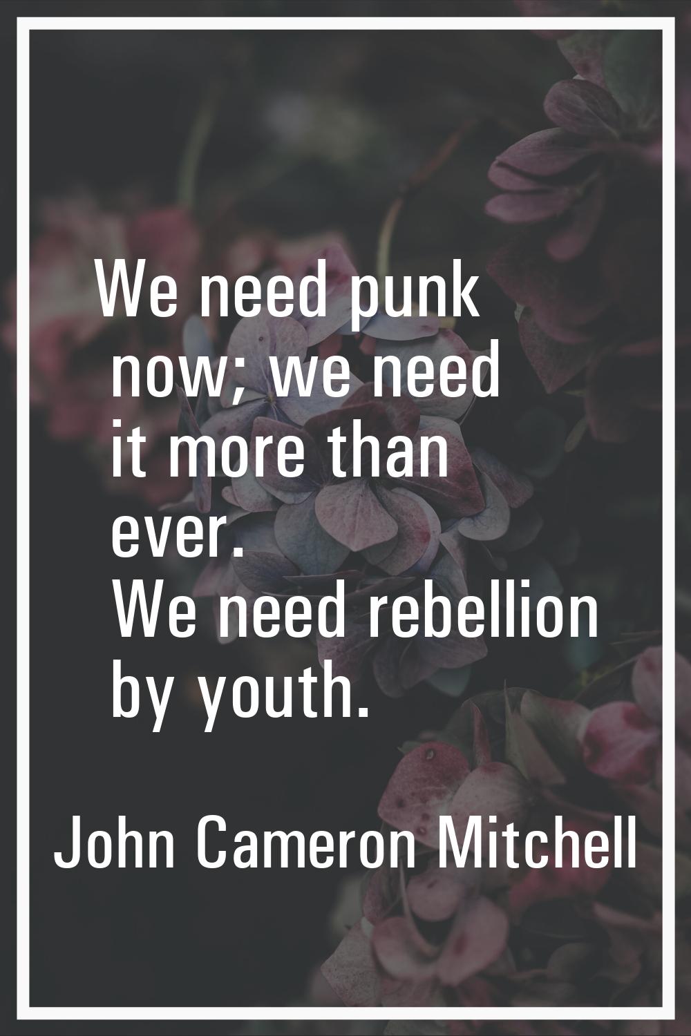 We need punk now; we need it more than ever. We need rebellion by youth.