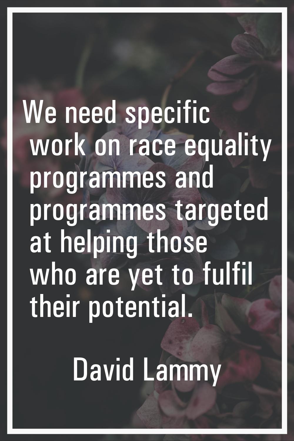 We need specific work on race equality programmes and programmes targeted at helping those who are 