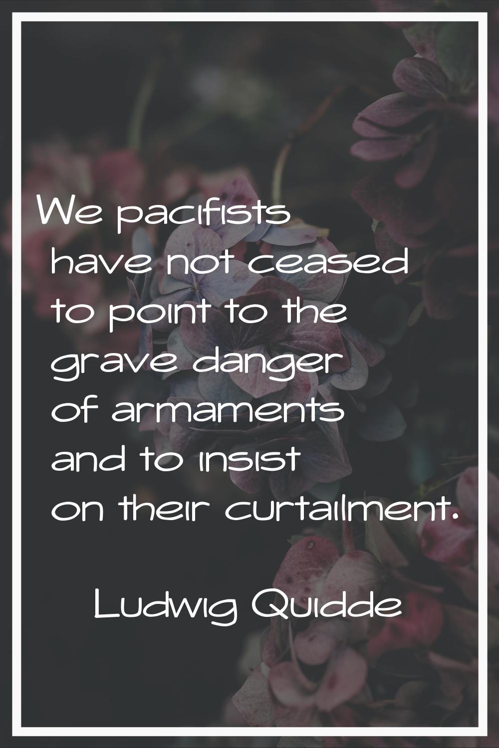 We pacifists have not ceased to point to the grave danger of armaments and to insist on their curta
