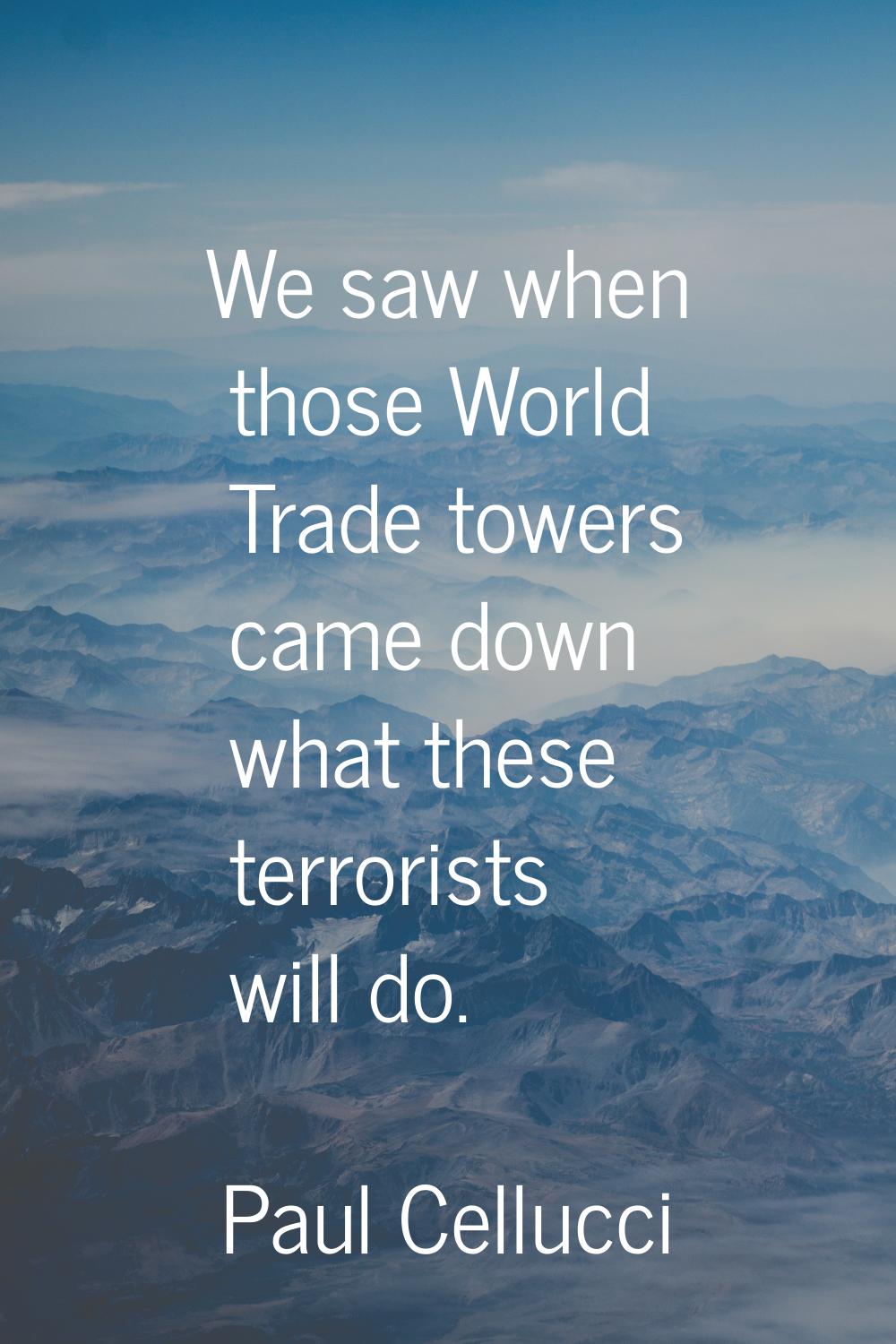We saw when those World Trade towers came down what these terrorists will do.