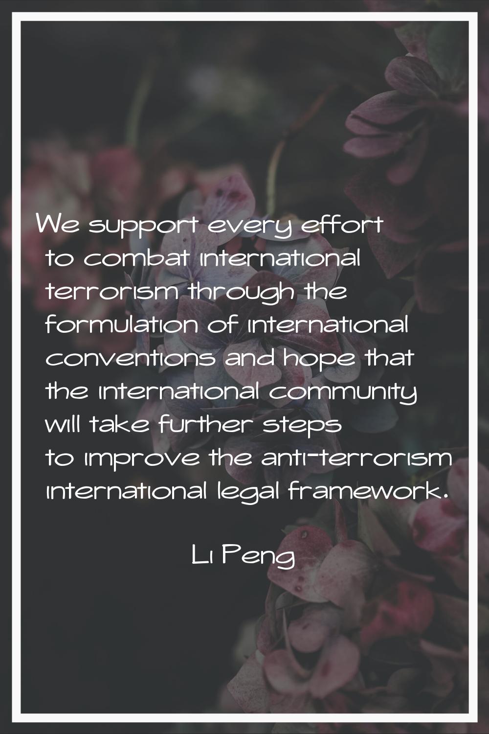 We support every effort to combat international terrorism through the formulation of international 