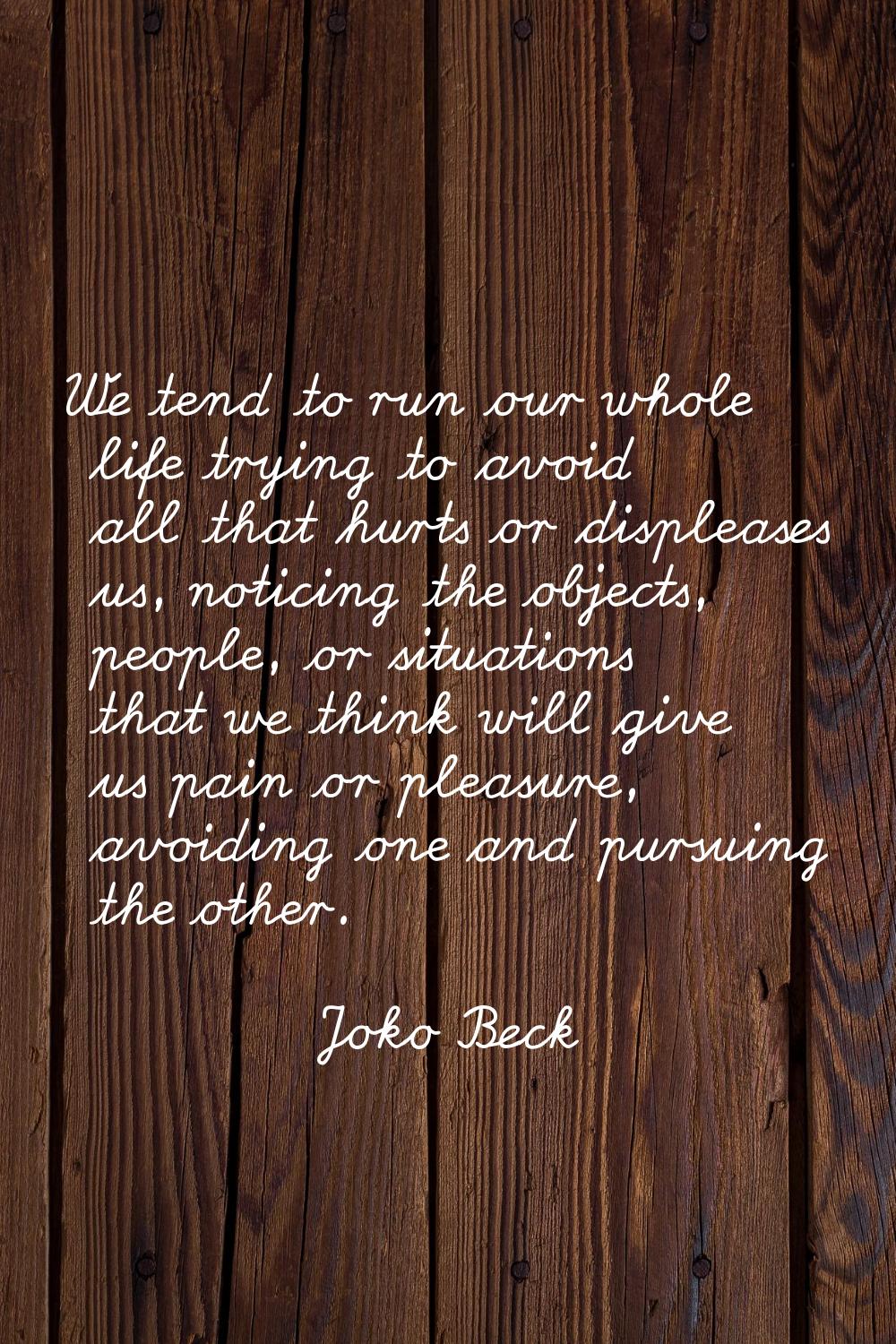 We tend to run our whole life trying to avoid all that hurts or displeases us, noticing the objects