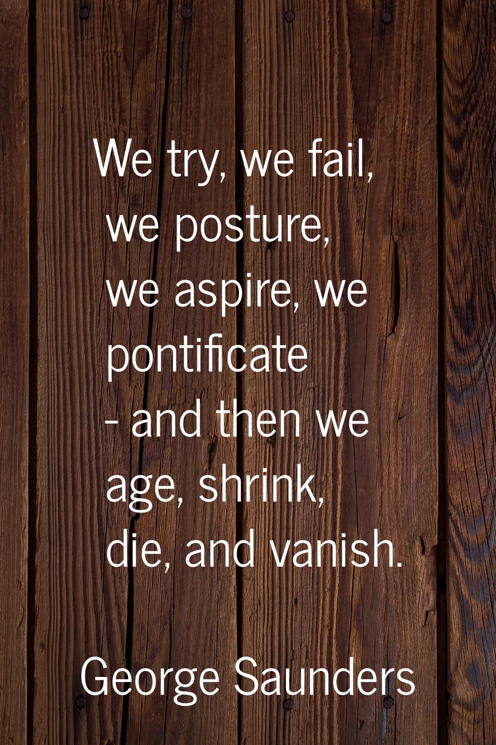 We try, we fail, we posture, we aspire, we pontificate - and then we age, shrink, die, and vanish.