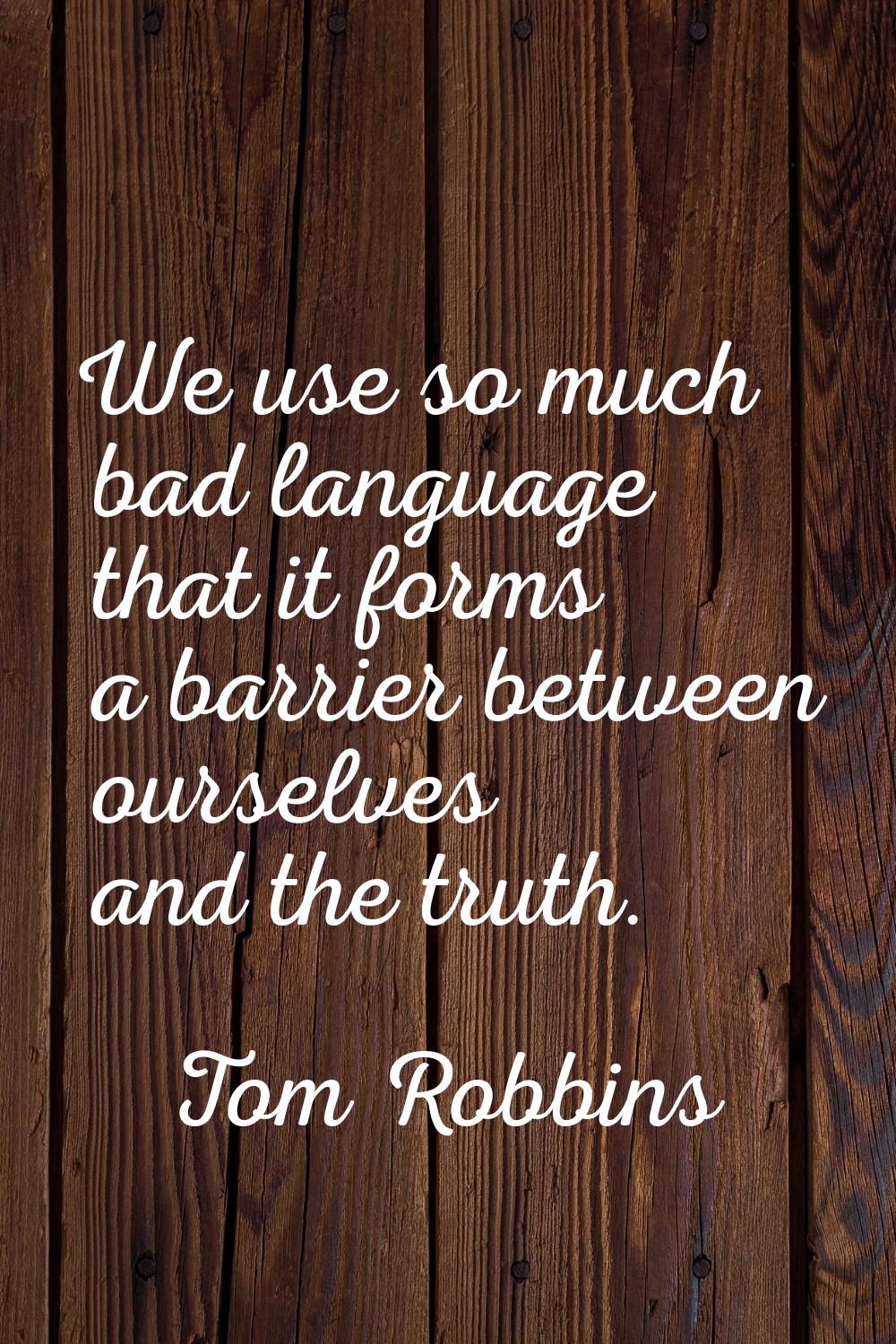We use so much bad language that it forms a barrier between ourselves and the truth.