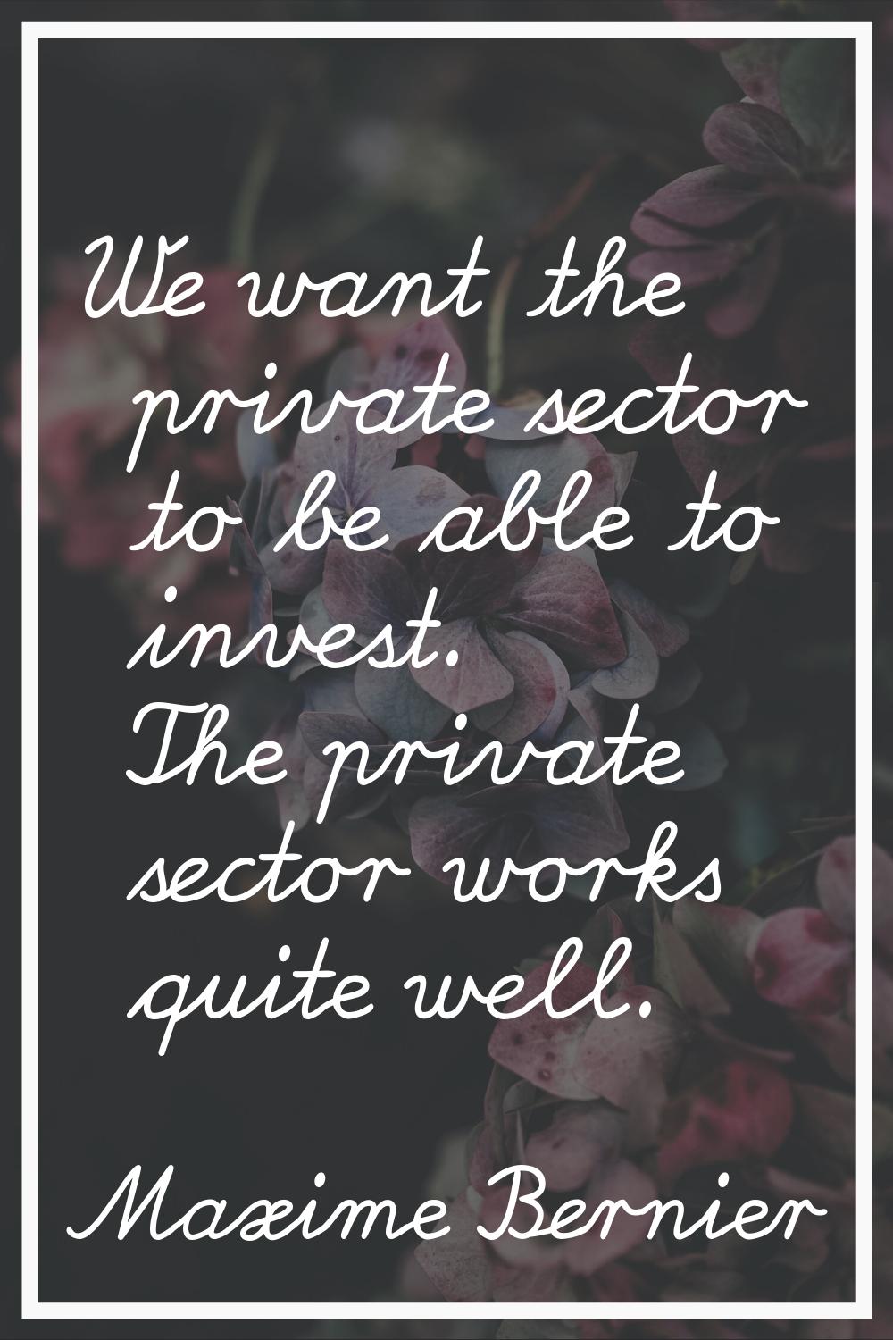 We want the private sector to be able to invest. The private sector works quite well.