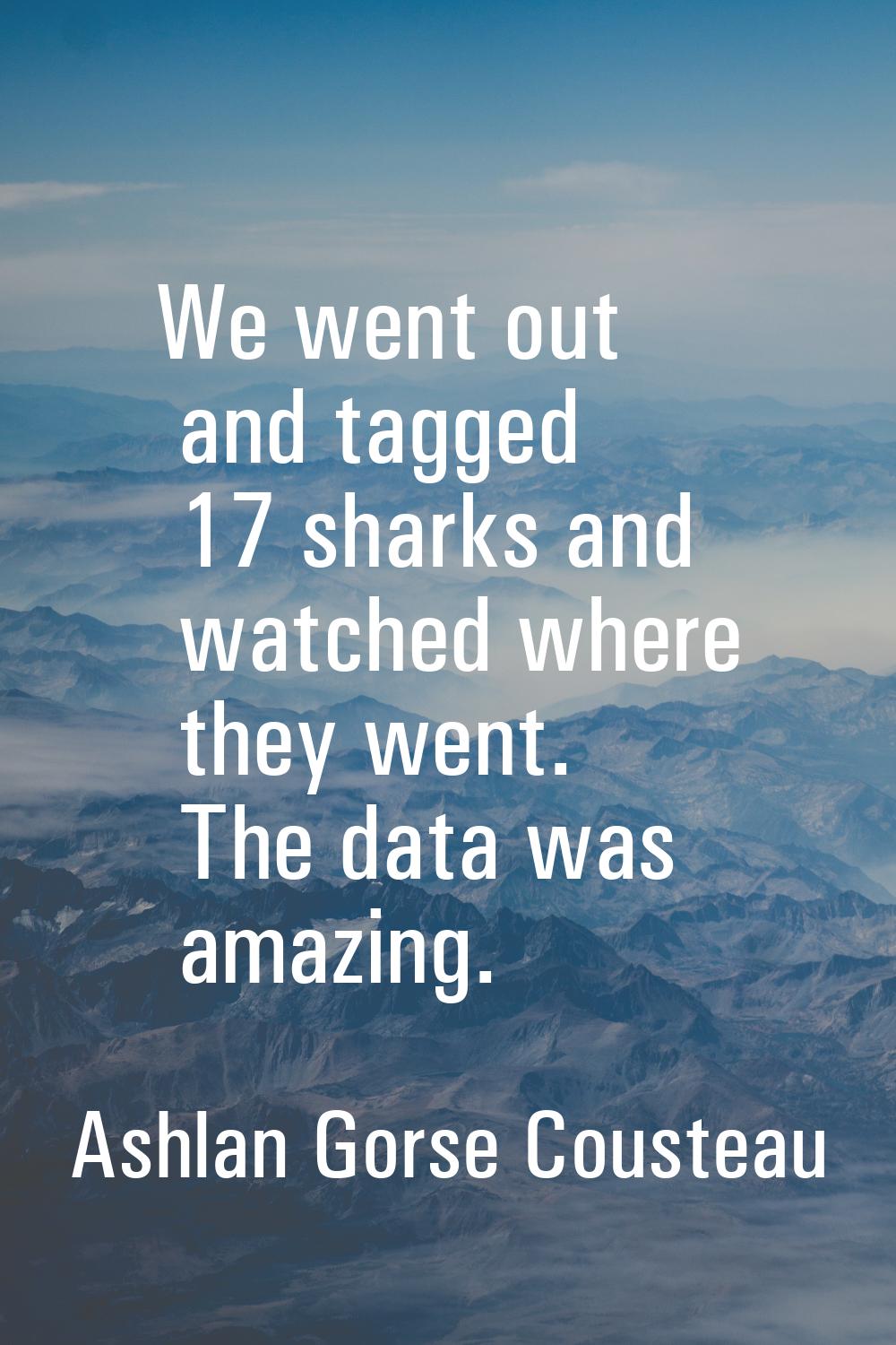 We went out and tagged 17 sharks and watched where they went. The data was amazing.