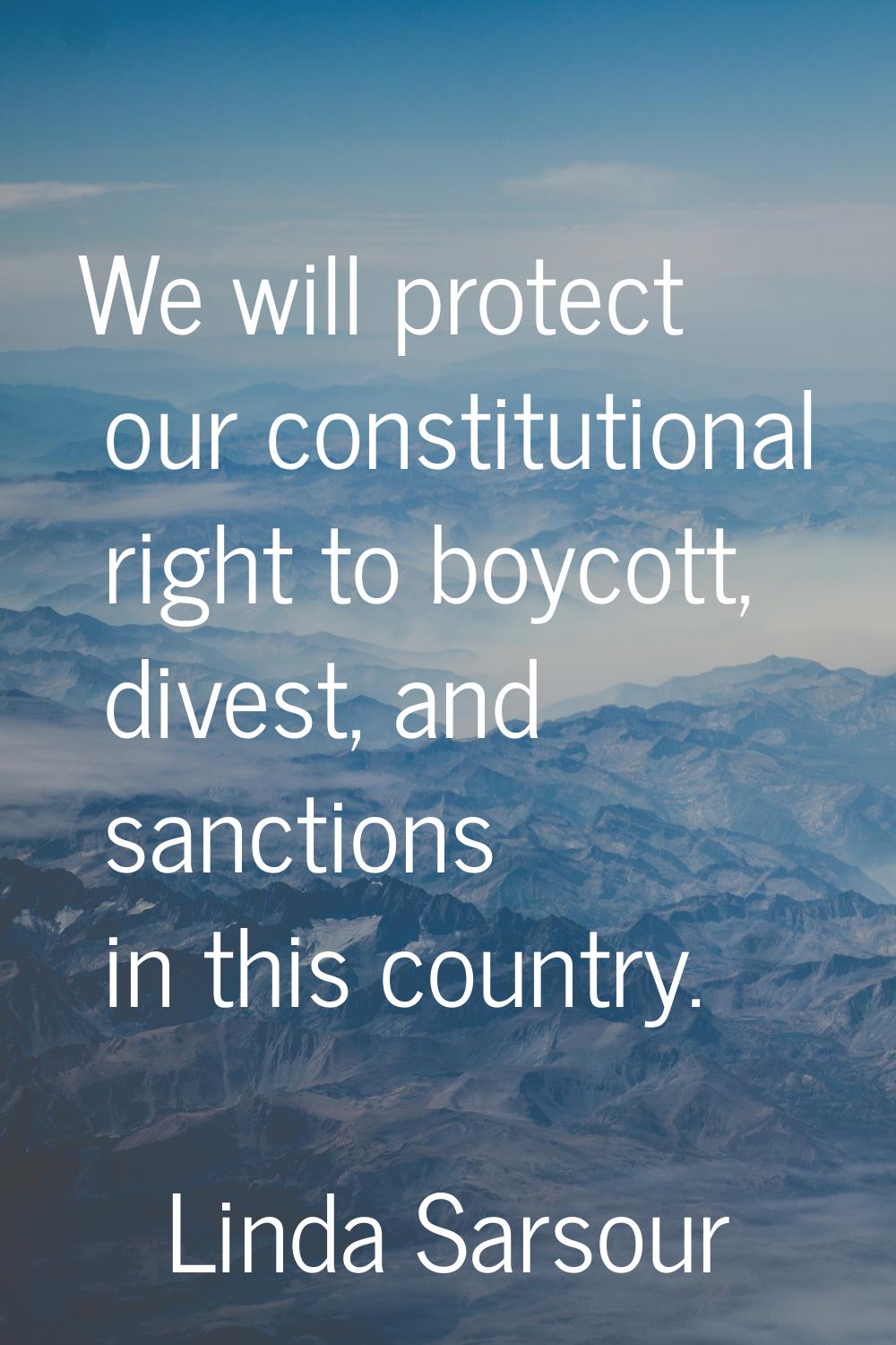 We will protect our constitutional right to boycott, divest, and sanctions in this country.