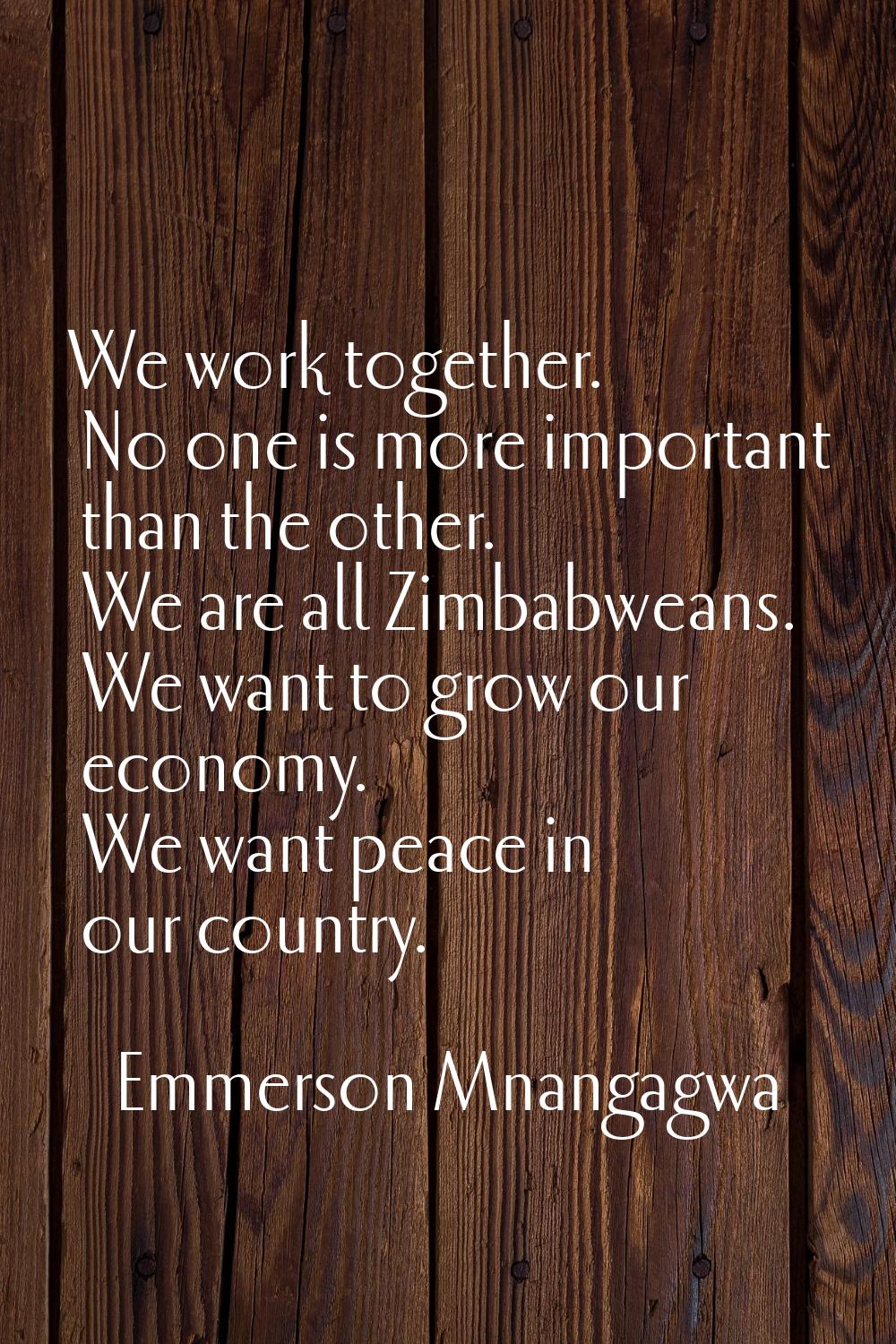 We work together. No one is more important than the other. We are all Zimbabweans. We want to grow 