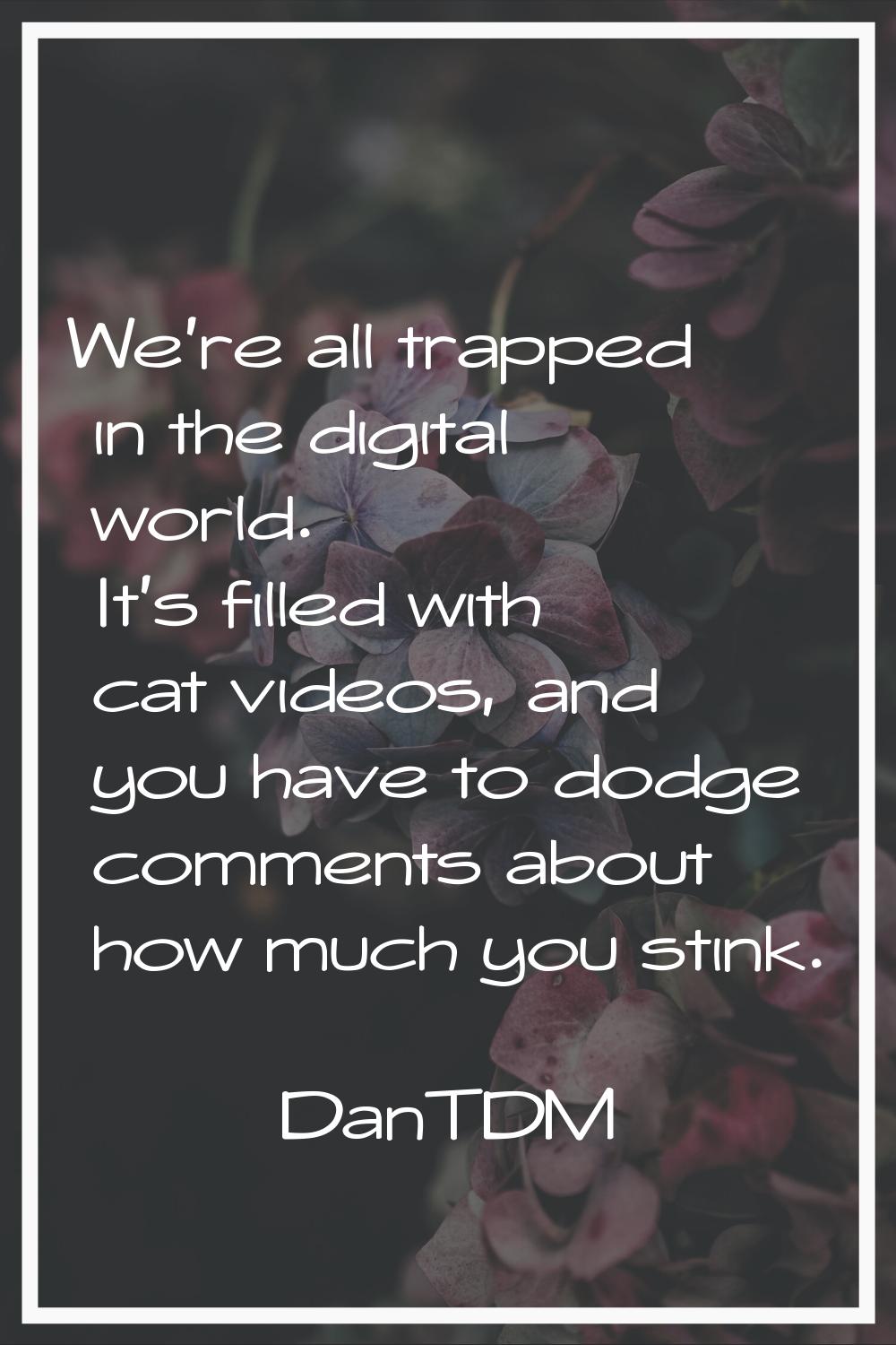 We're all trapped in the digital world. It's filled with cat videos, and you have to dodge comments