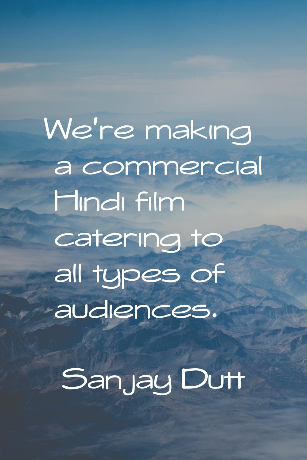 We're making a commercial Hindi film catering to all types of audiences.