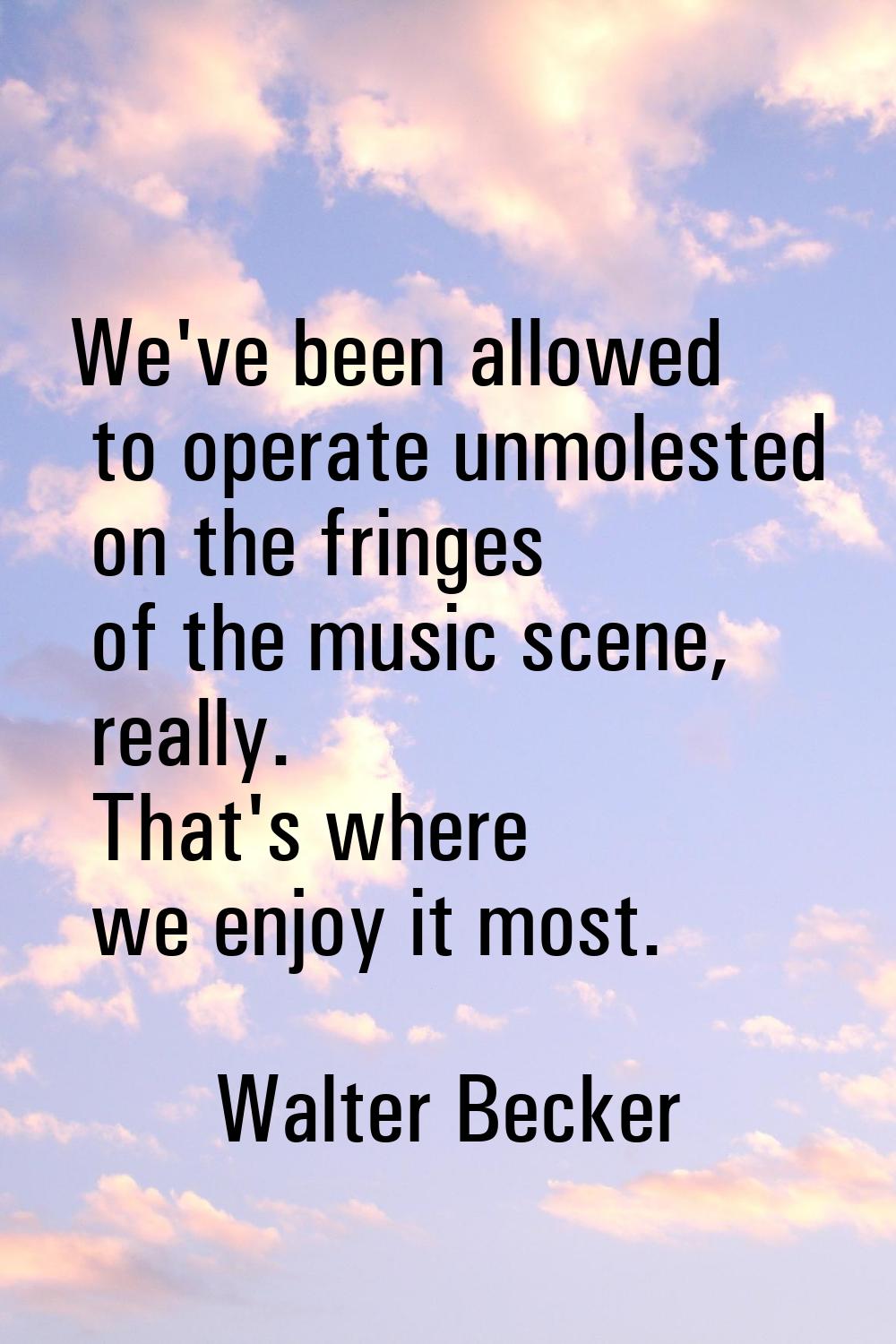 We've been allowed to operate unmolested on the fringes of the music scene, really. That's where we