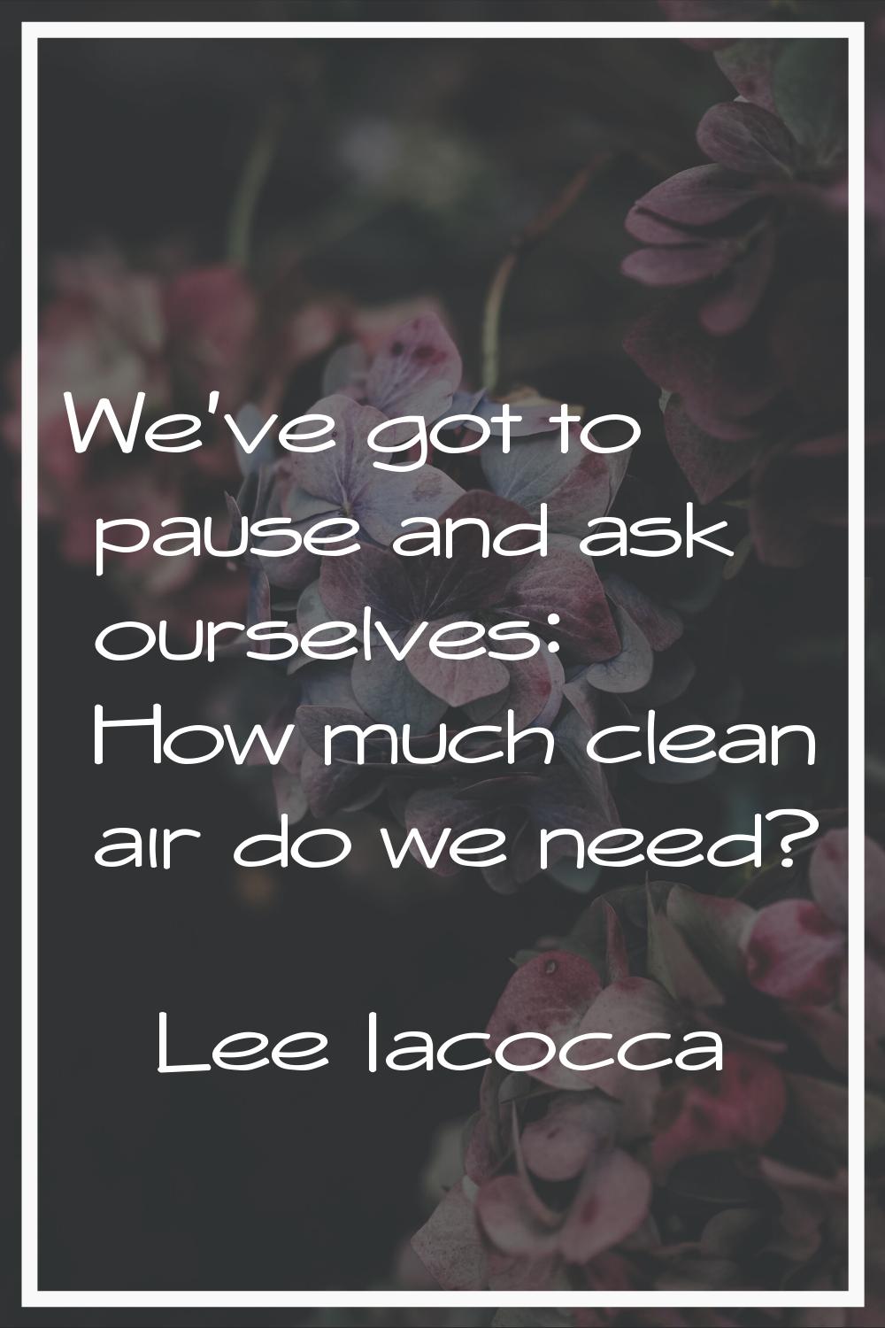 We've got to pause and ask ourselves: How much clean air do we need?